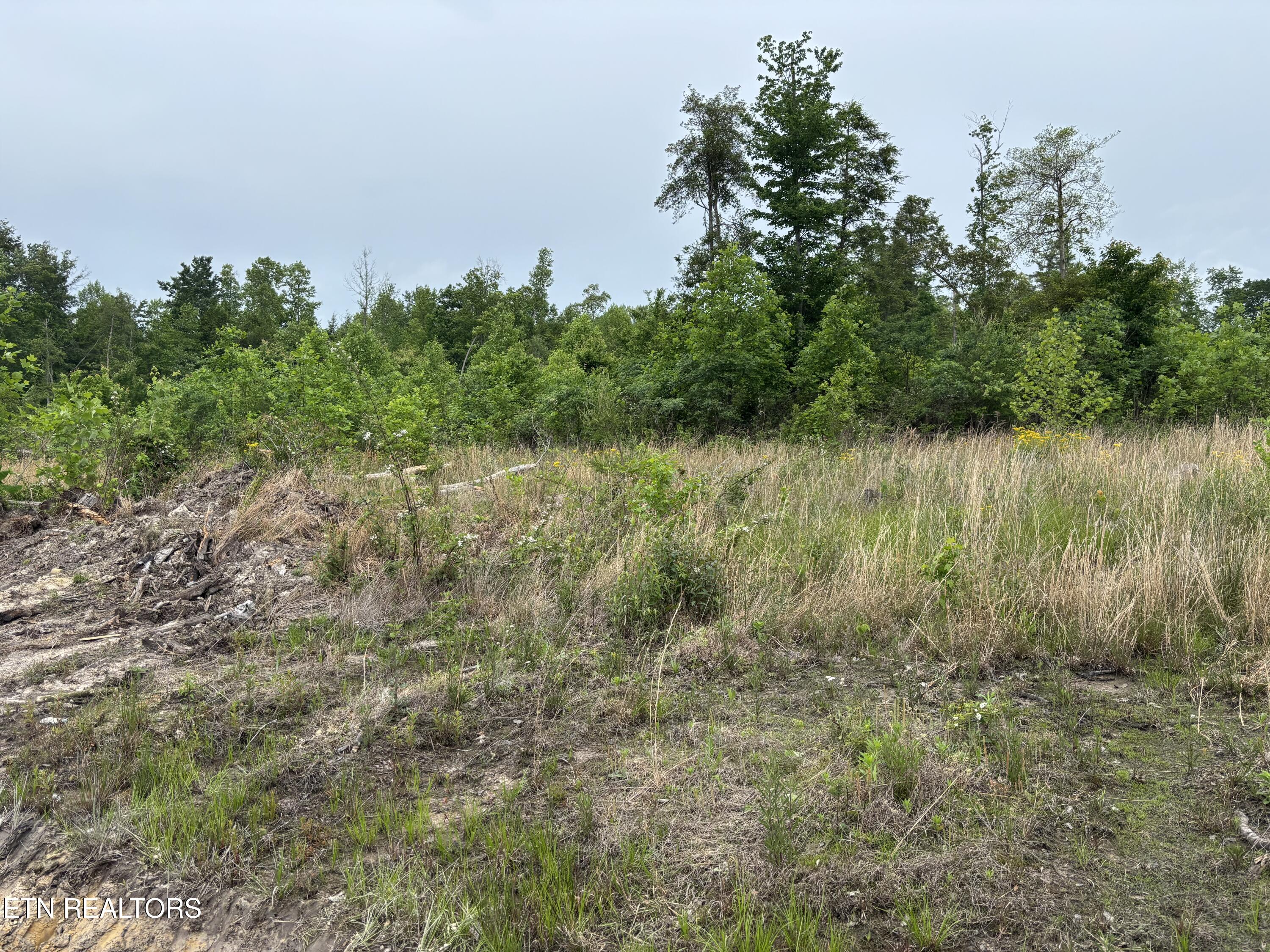 Scott Highway Property Photo 10