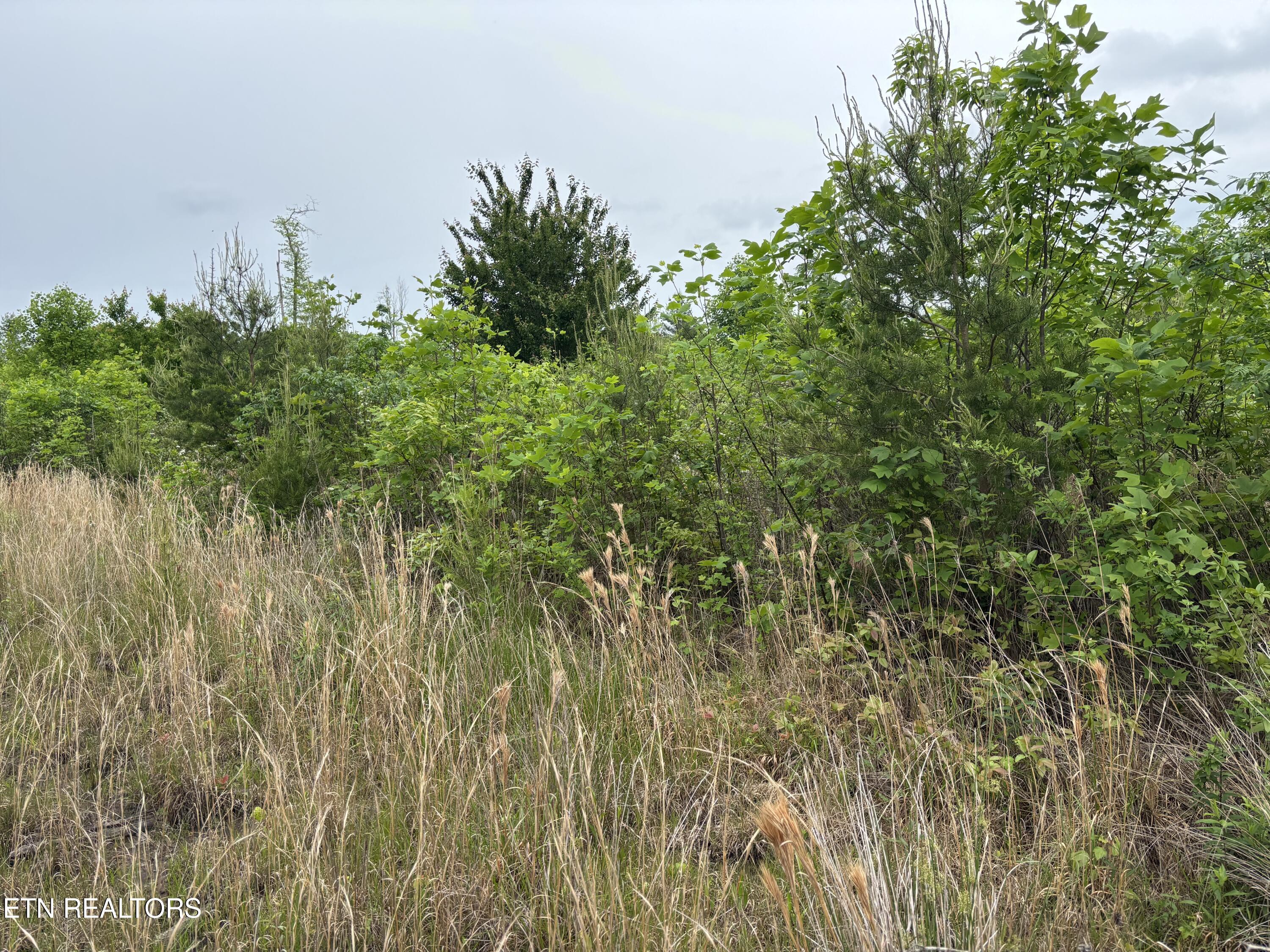 Scott Highway Property Photo 11
