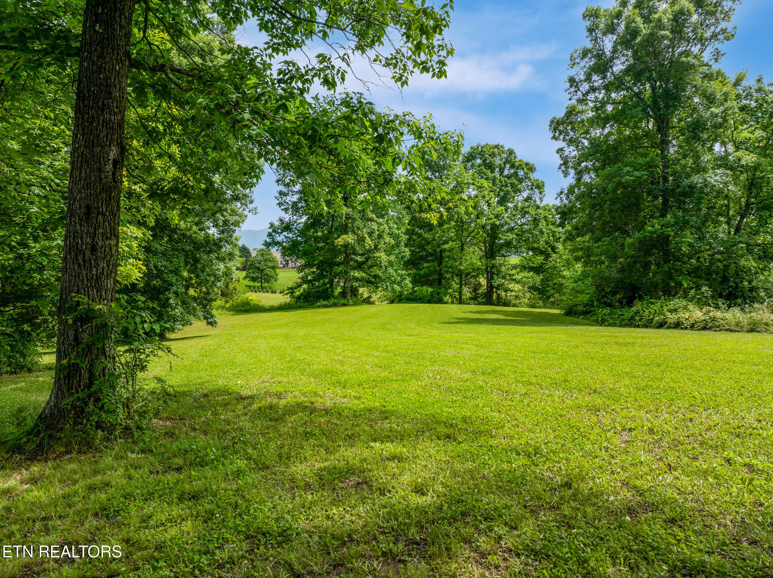1502 Brahman Lane Property Photo 2