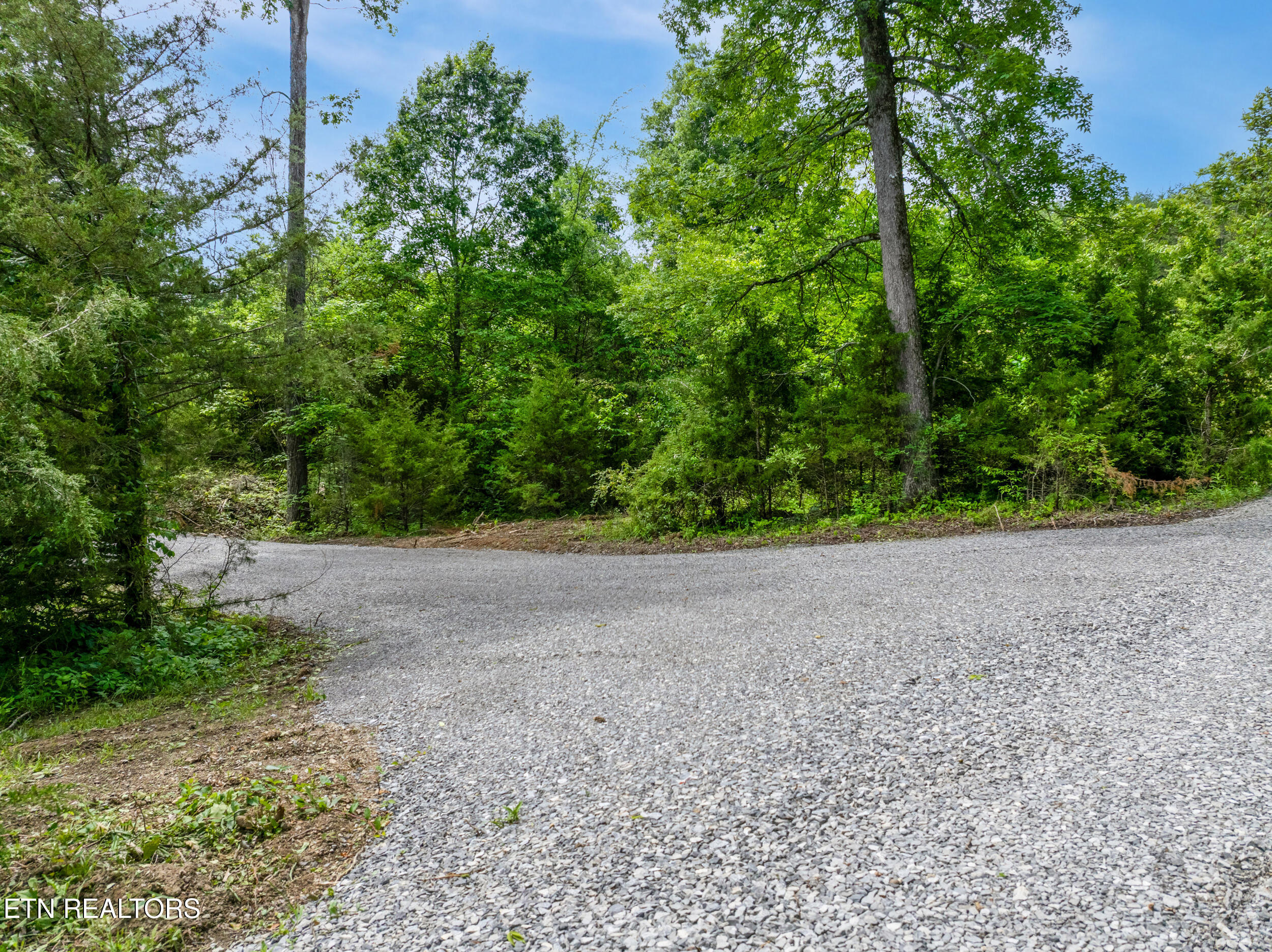 1502 Brahman Lane Property Photo 3