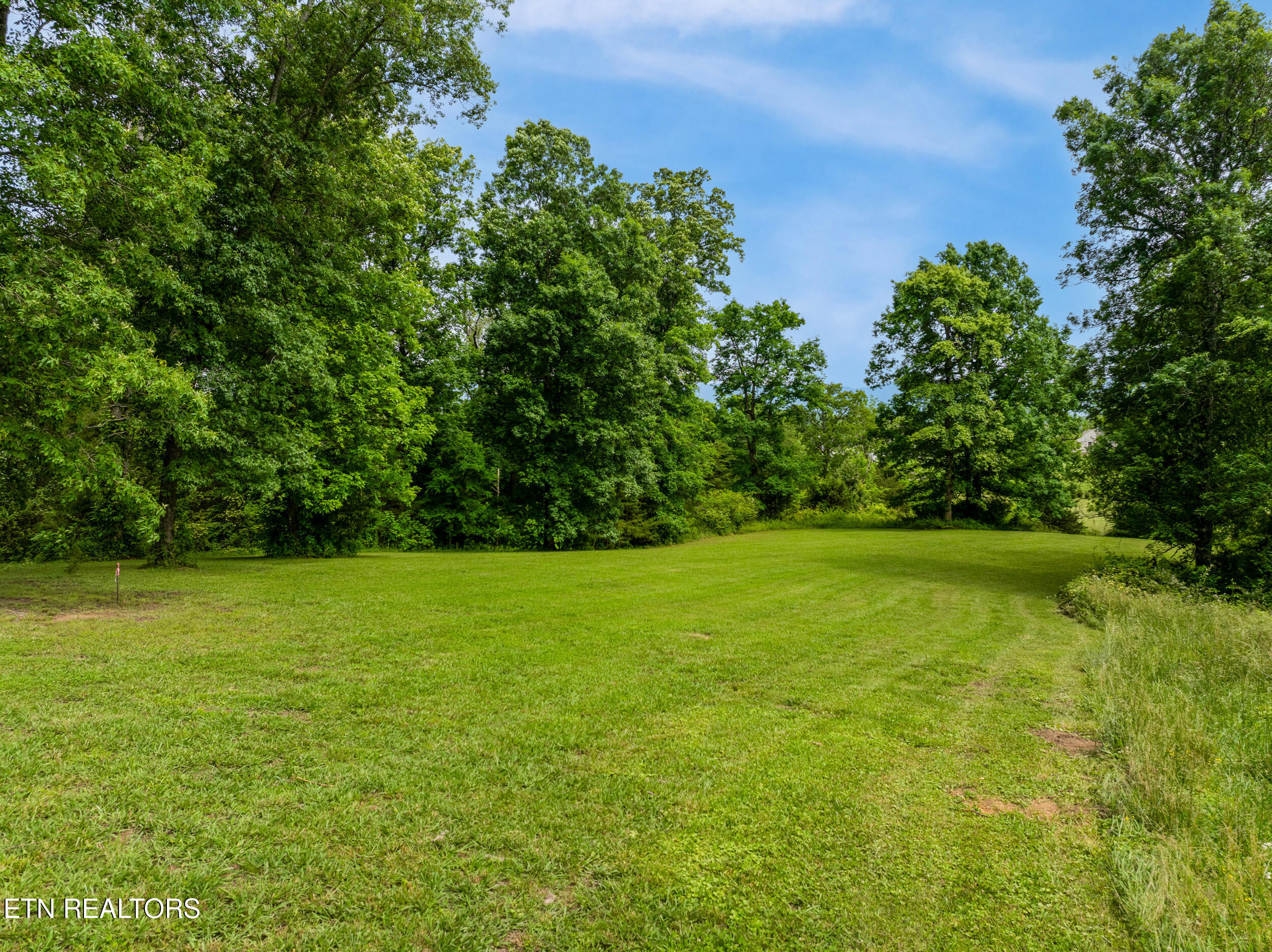 1502 Brahman Lane Property Photo 6