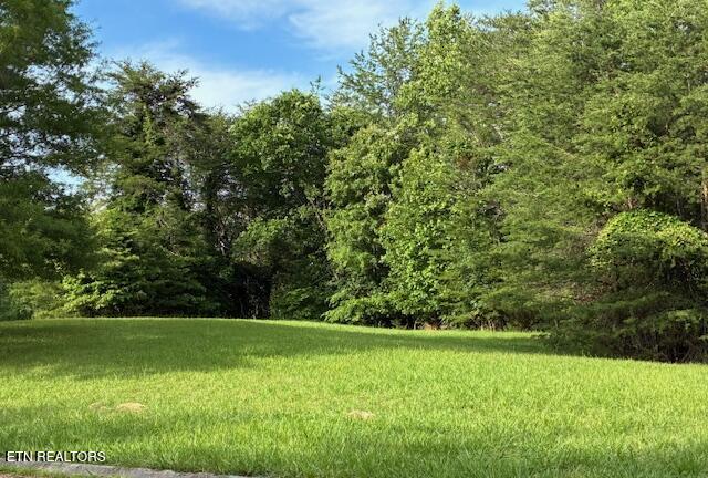 Lot 17 Waterstone Drive Property Photo 1