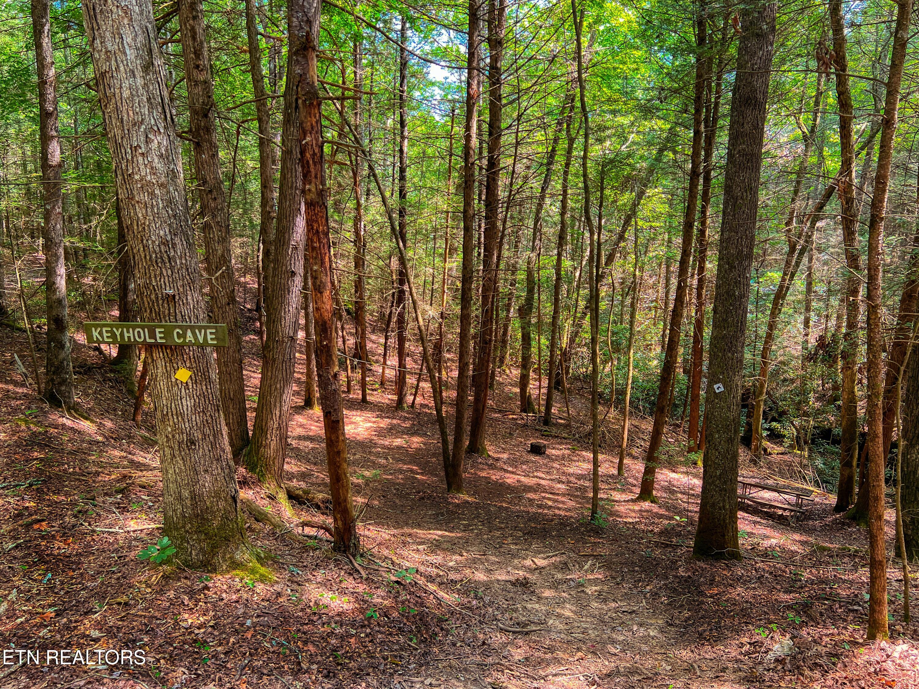 54 E Ridge Rd Property Photo 3