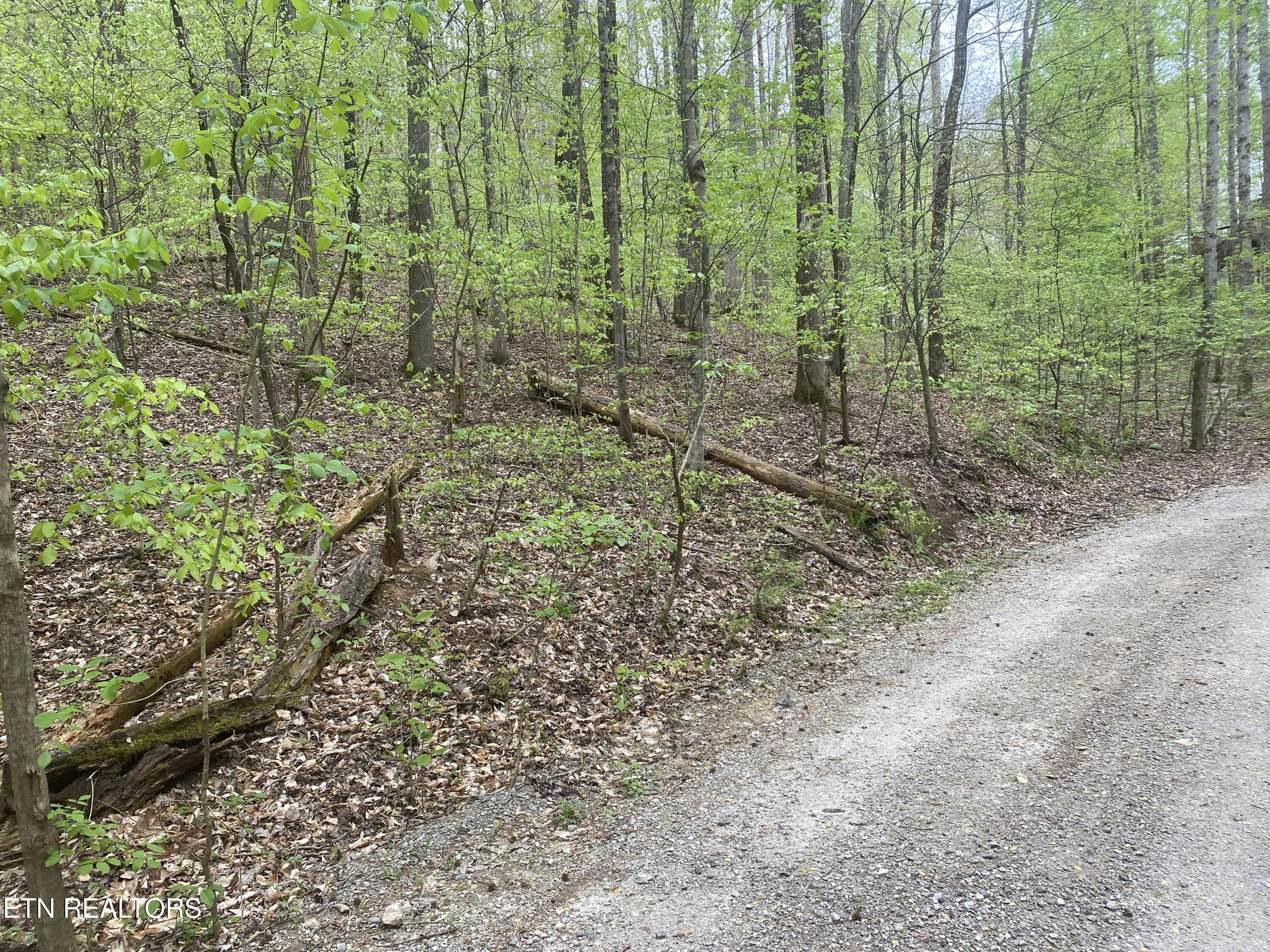 Lot#4 Property Photo 1