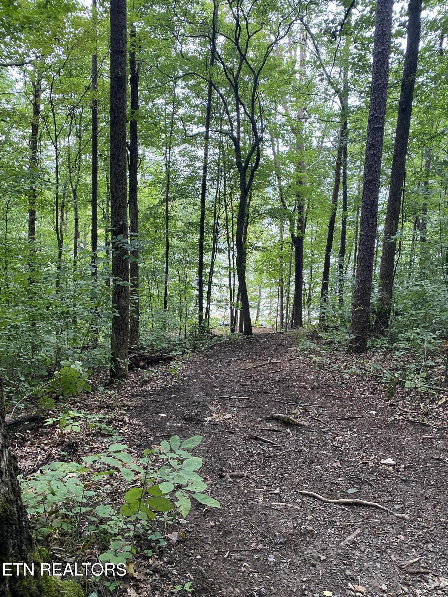 Lot#4 Property Photo 9