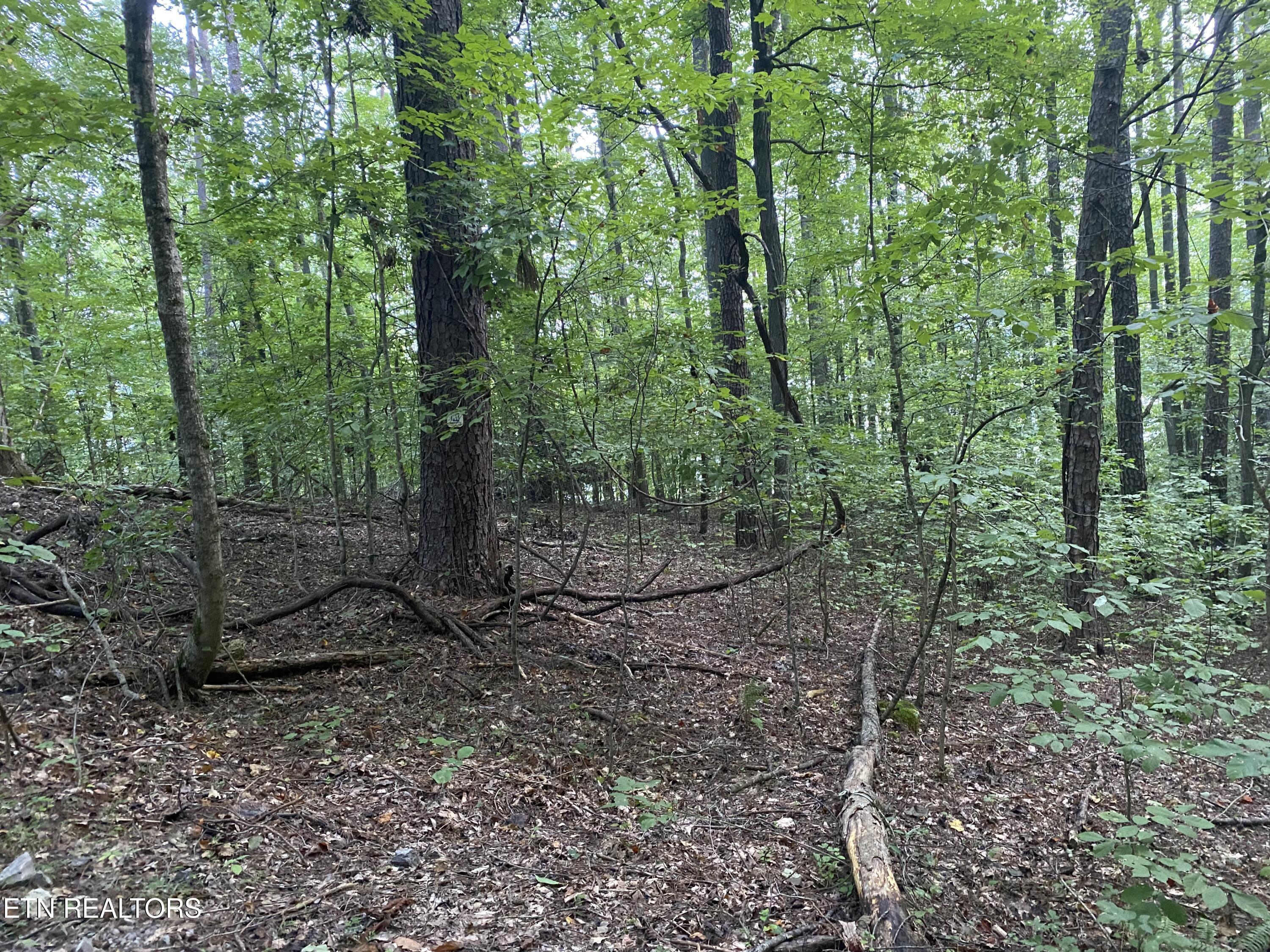 Lot#4 Property Photo 10