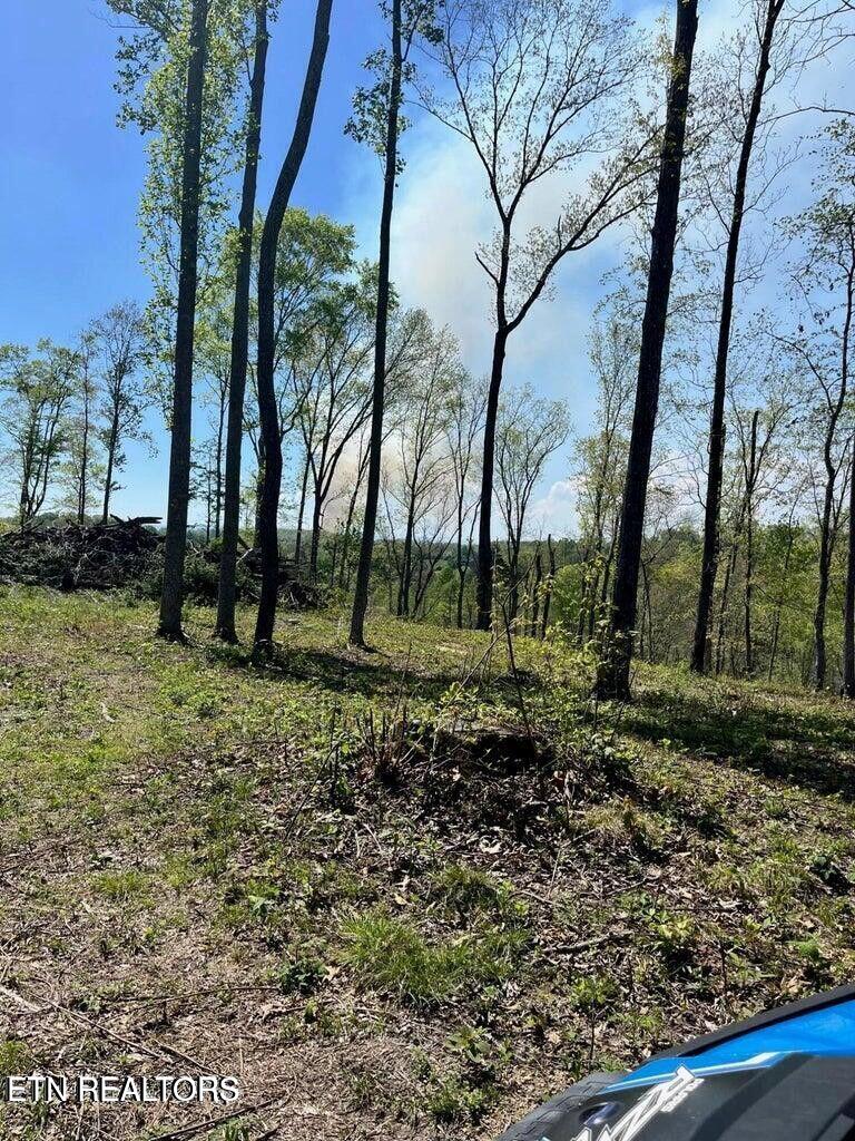 Tract 1 Mill Creek Rd Property Photo 1