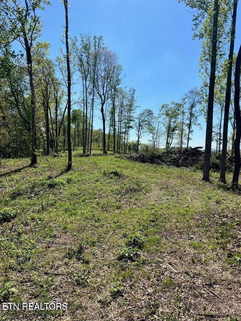 Tract 2 Mill Creek Rd Property Photo 1