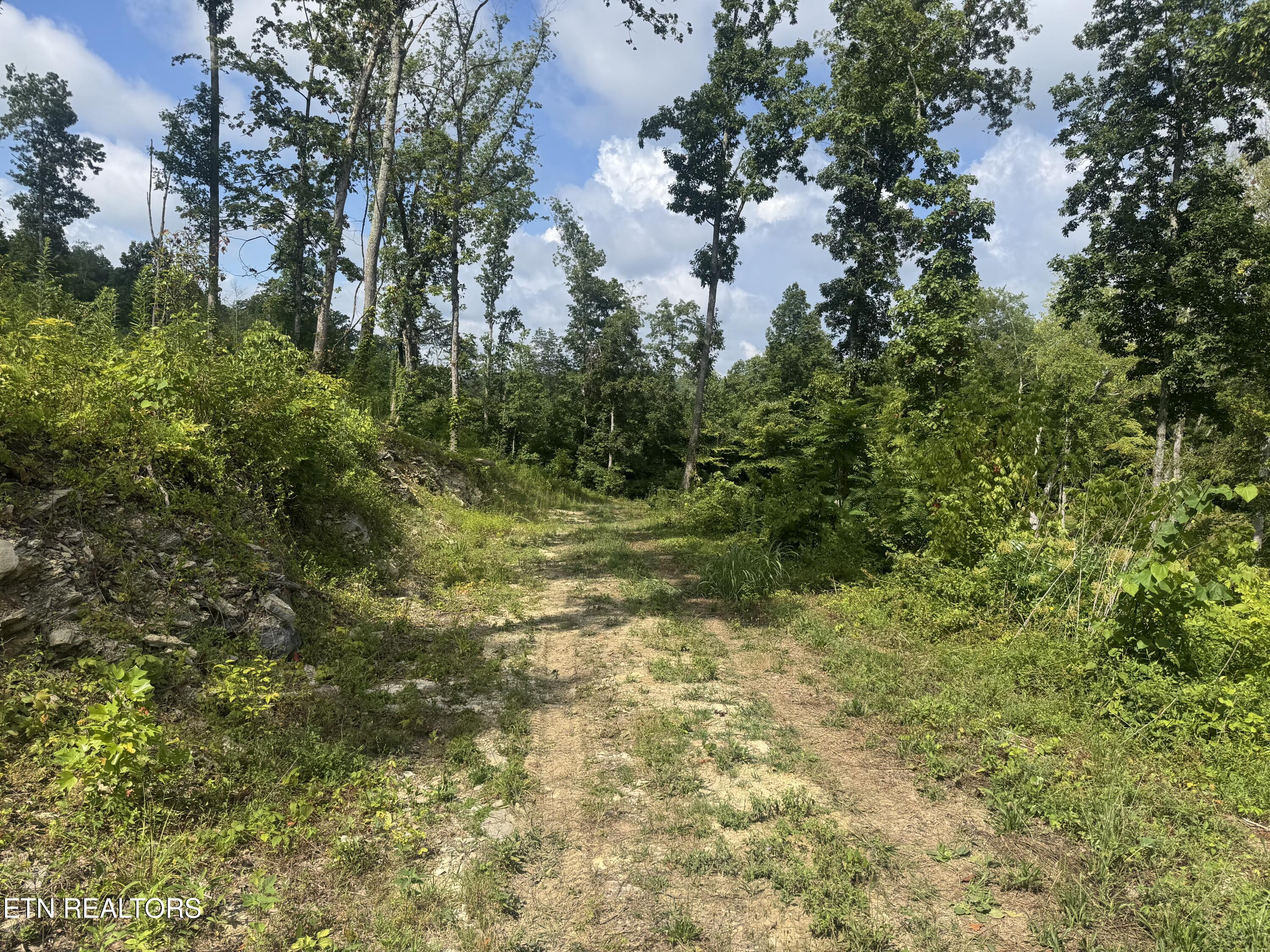 Tract 2 Mill Creek Rd Property Photo 5