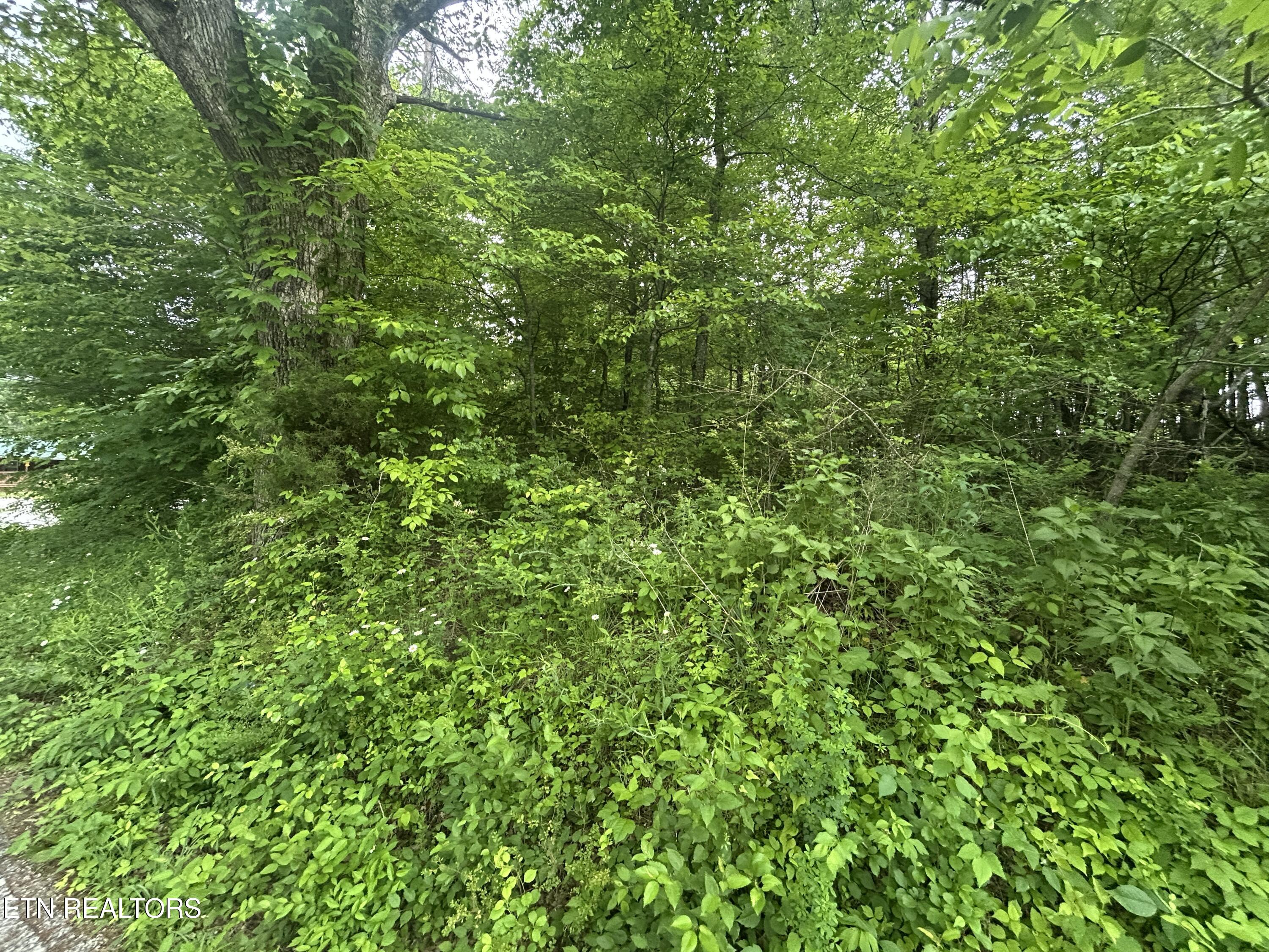Hensley Rd Property Photo 1