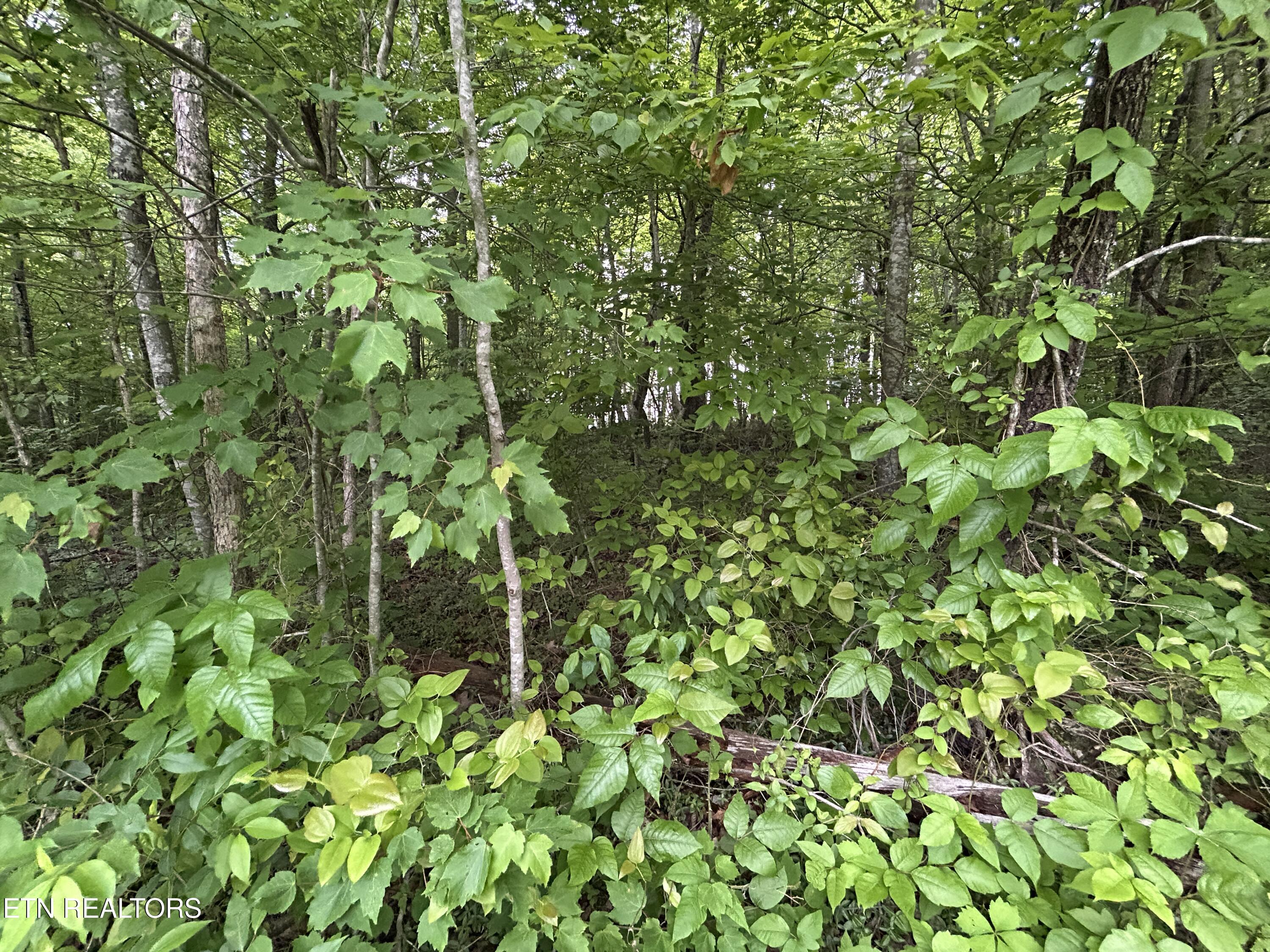 Hensley Rd Property Photo 1