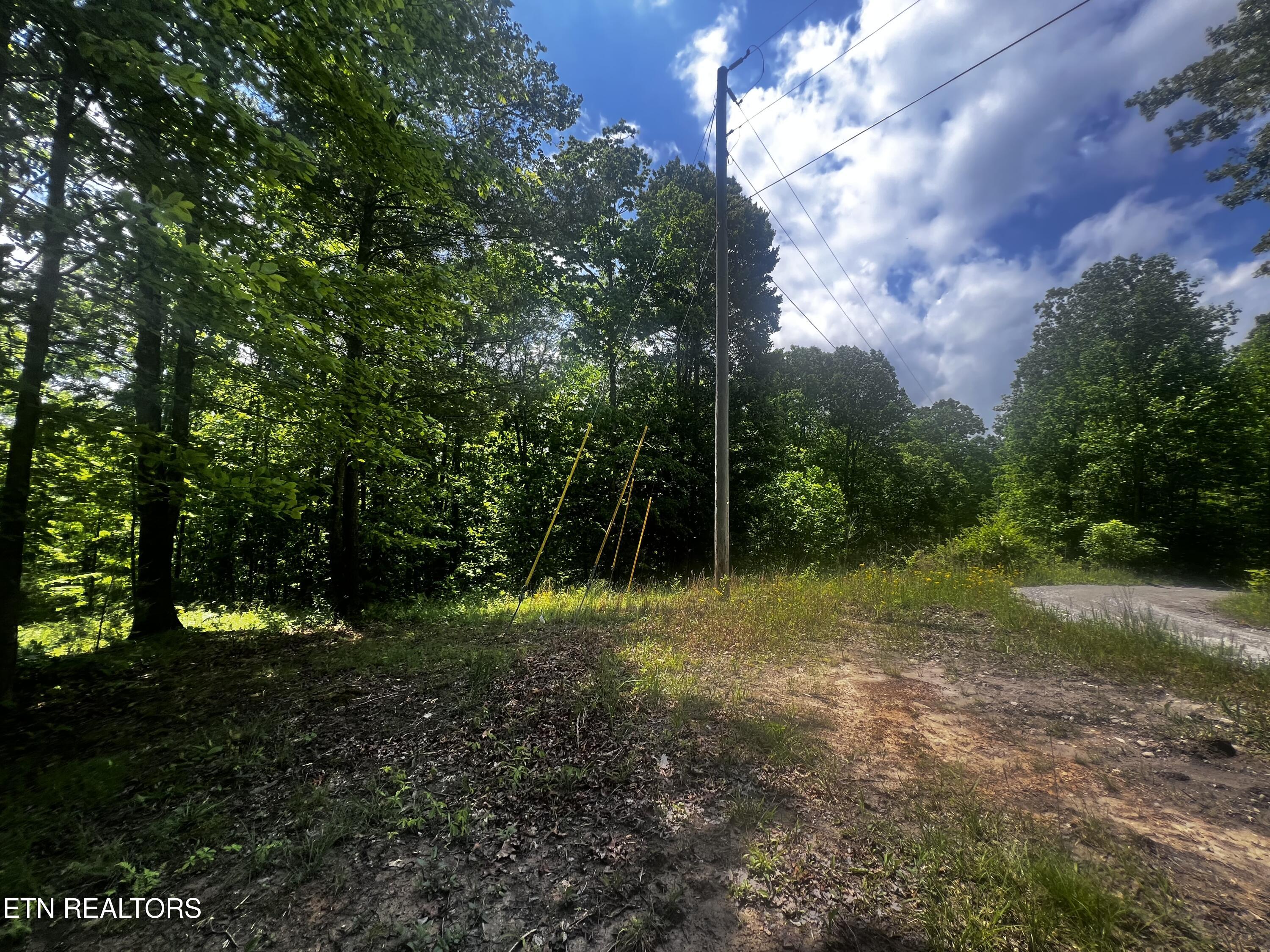146 Fox Tr Property Photo 2