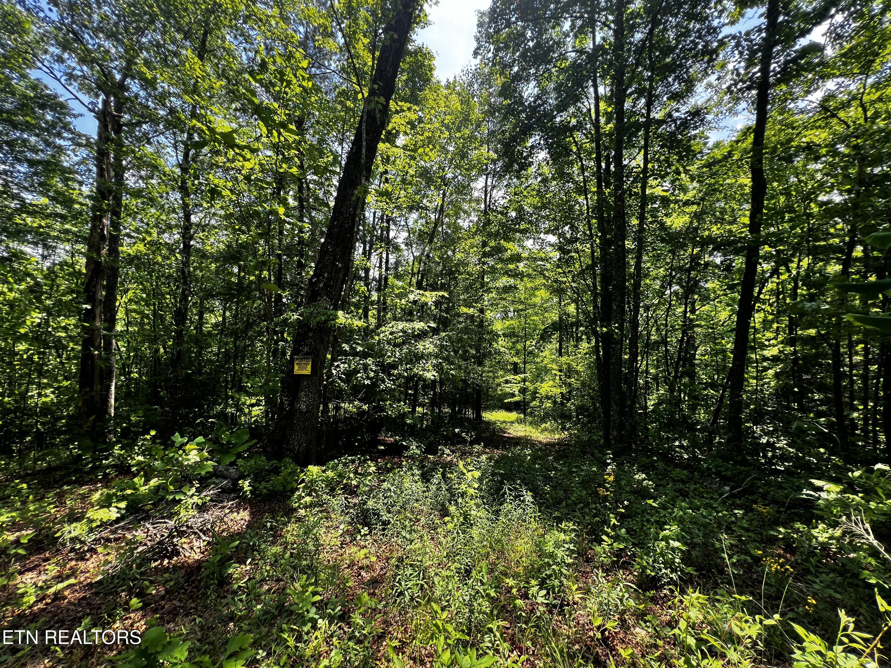 146 Fox Tr Property Photo 5
