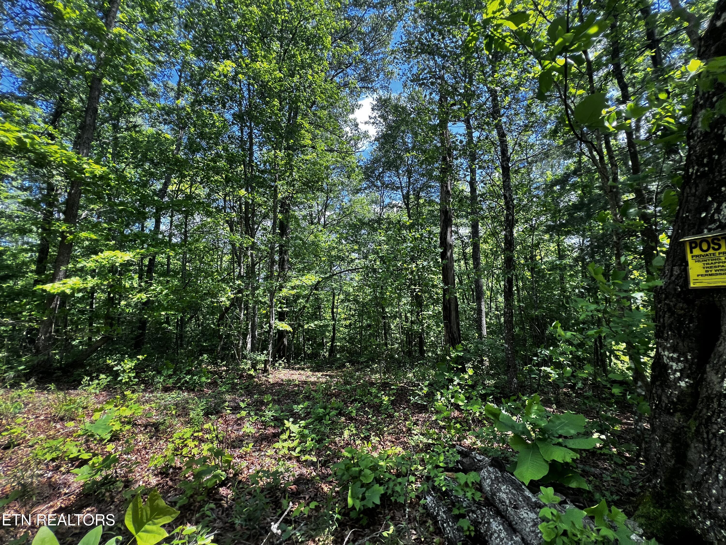 146 Fox Tr Property Photo 6
