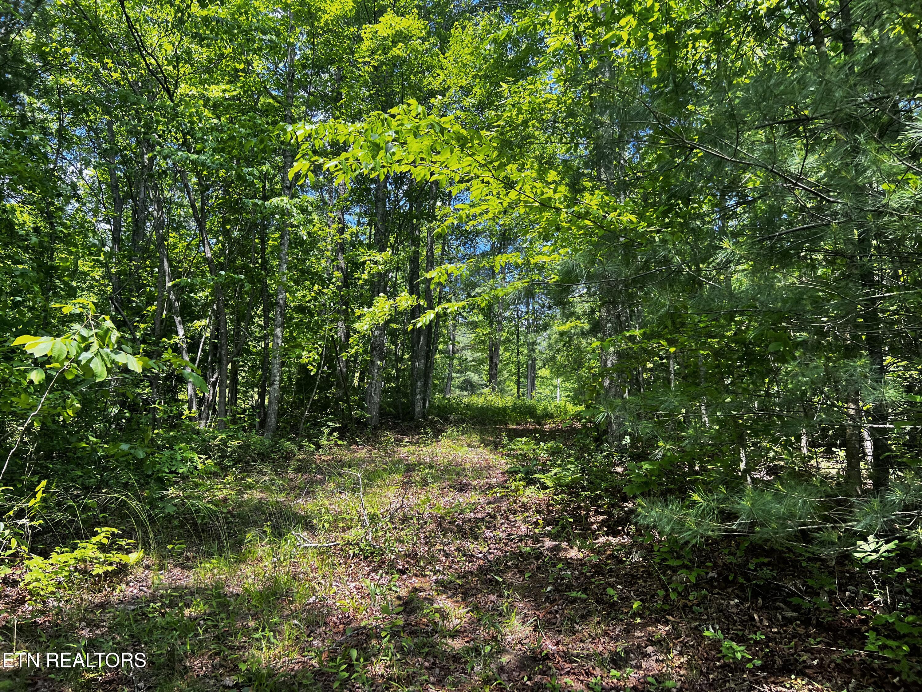 146 Fox Tr Property Photo 15