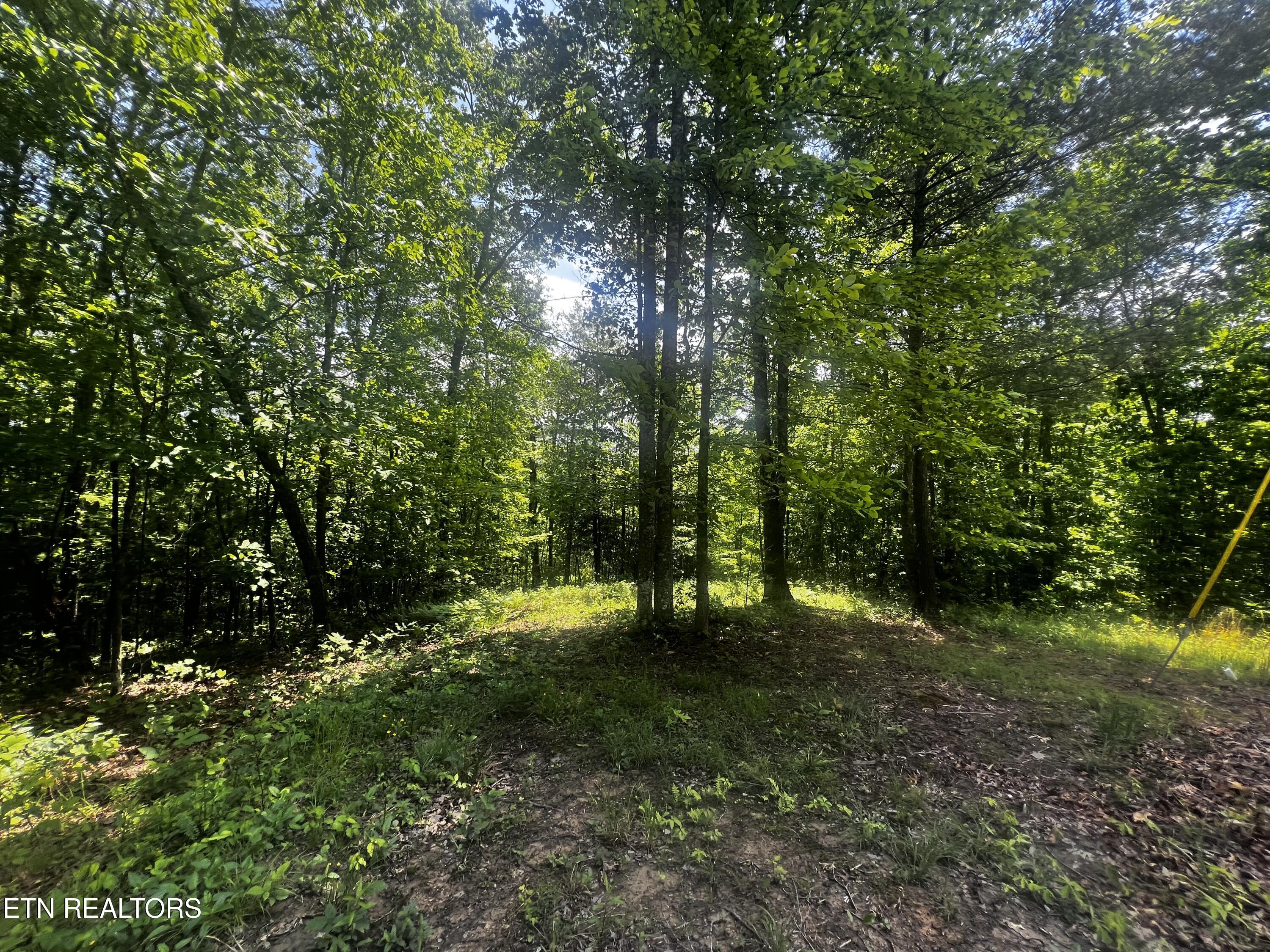 149 Fox Tr Property Photo 1