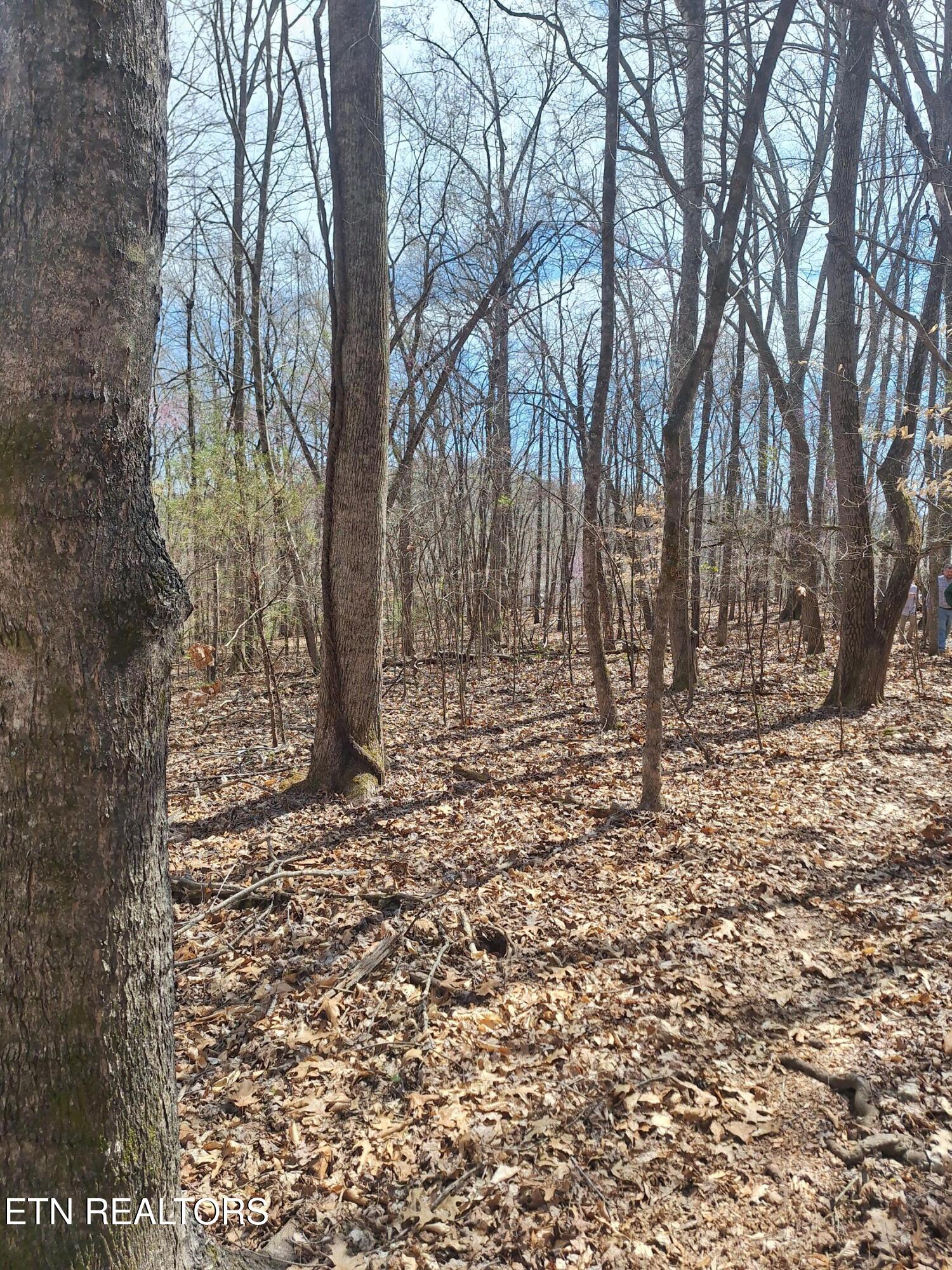 13136 George Lovelace Lane Property Photo 3