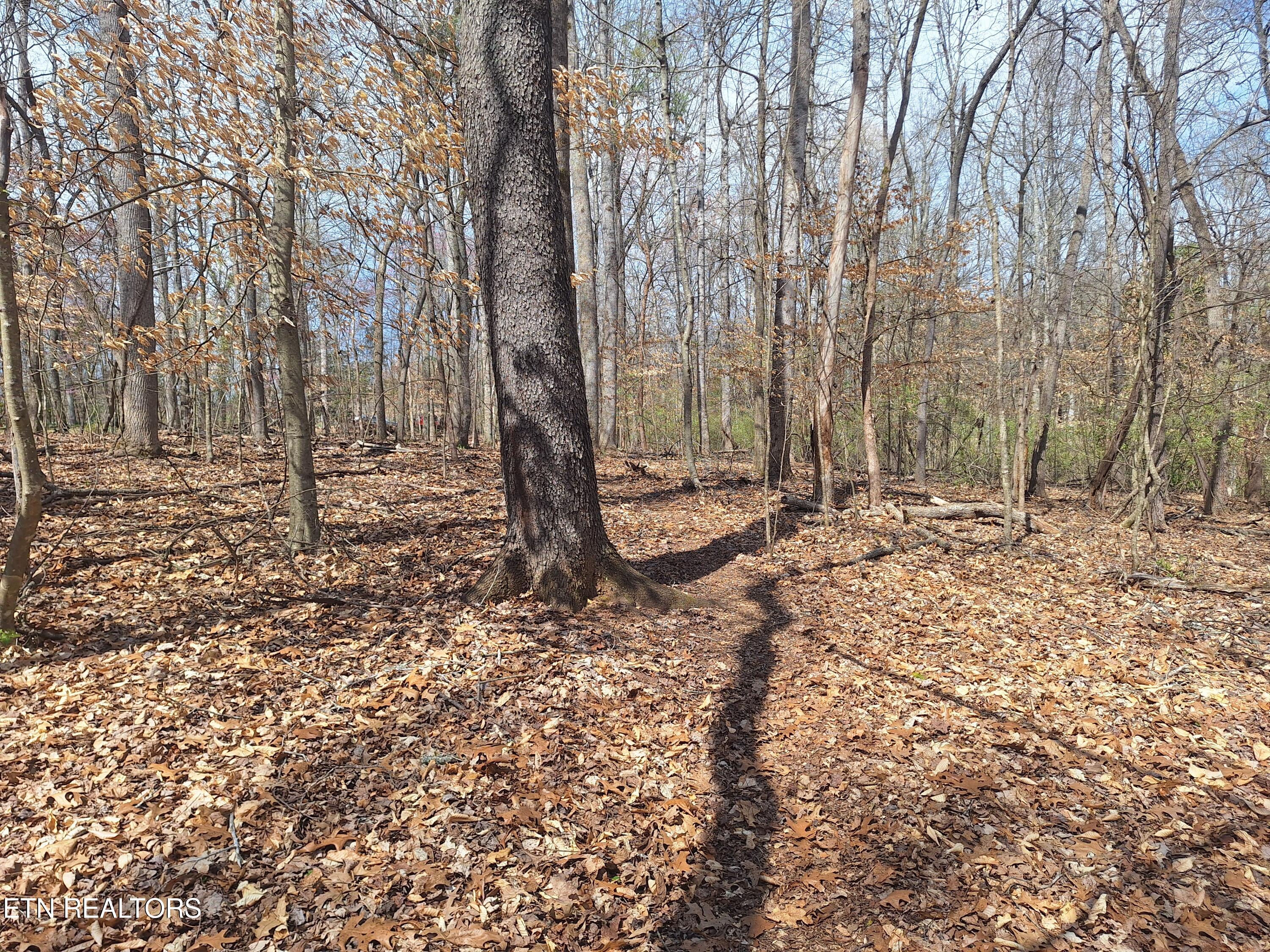 13136 George Lovelace Lane Property Photo 4