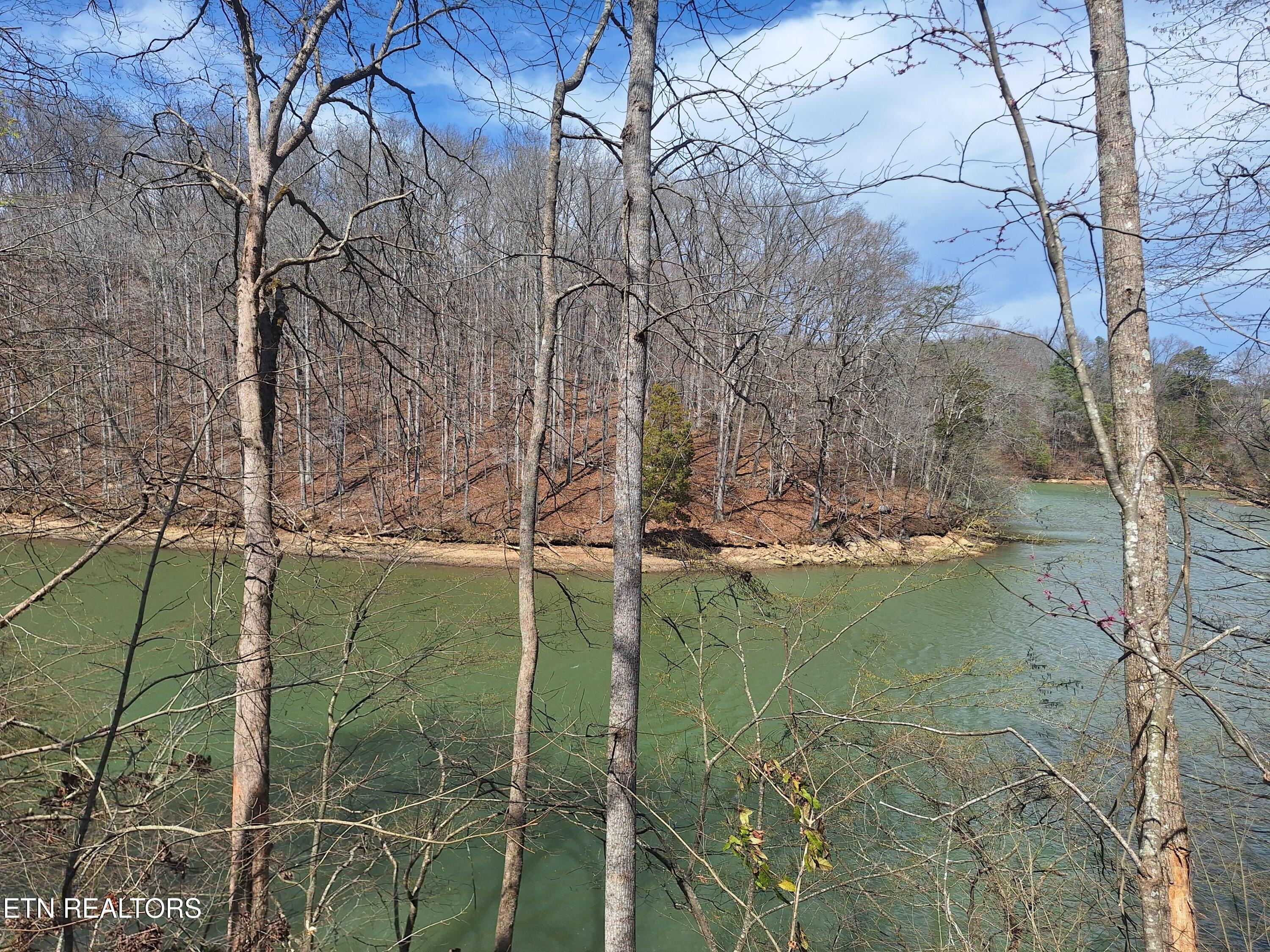 13136 George Lovelace Lane Property Photo 6