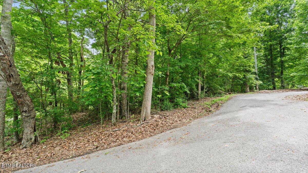 13136 George Lovelace Lane Property Photo 9