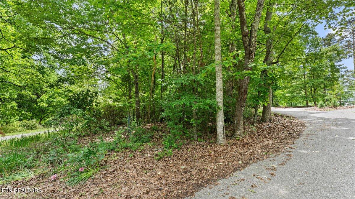 13136 George Lovelace Lane Property Photo 10