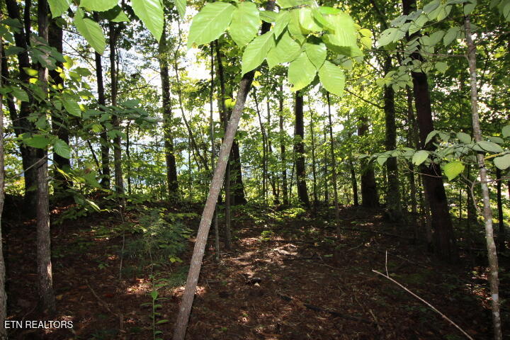 523 Rudd Hollow Rd Property Photo