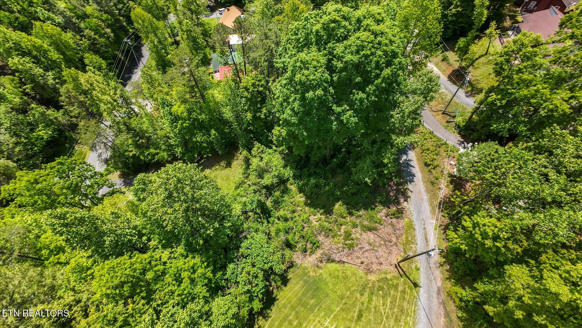 Lot 11 Lake Drive Property Photo 5