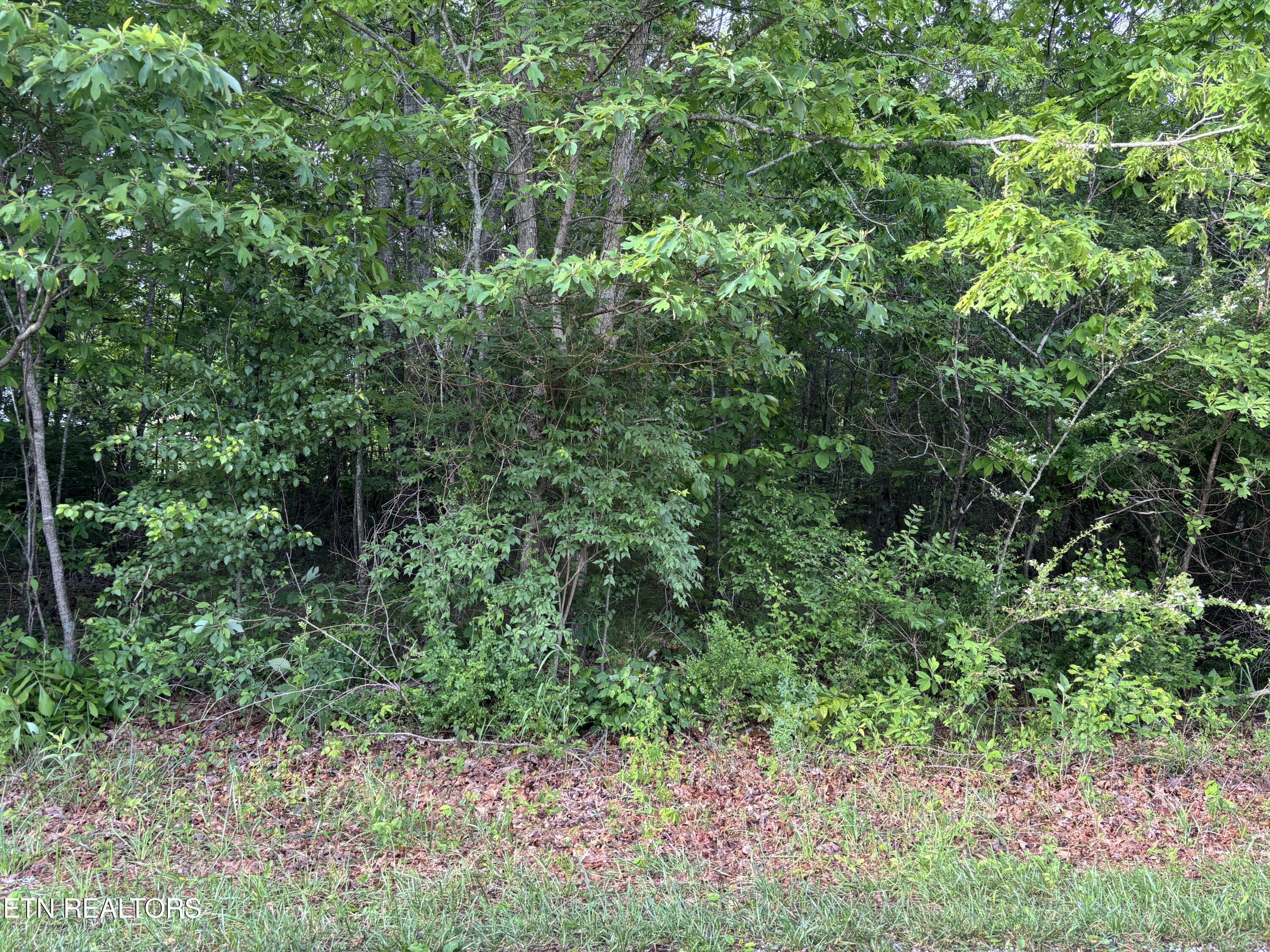 20 Otomi Circle Property Photo 1