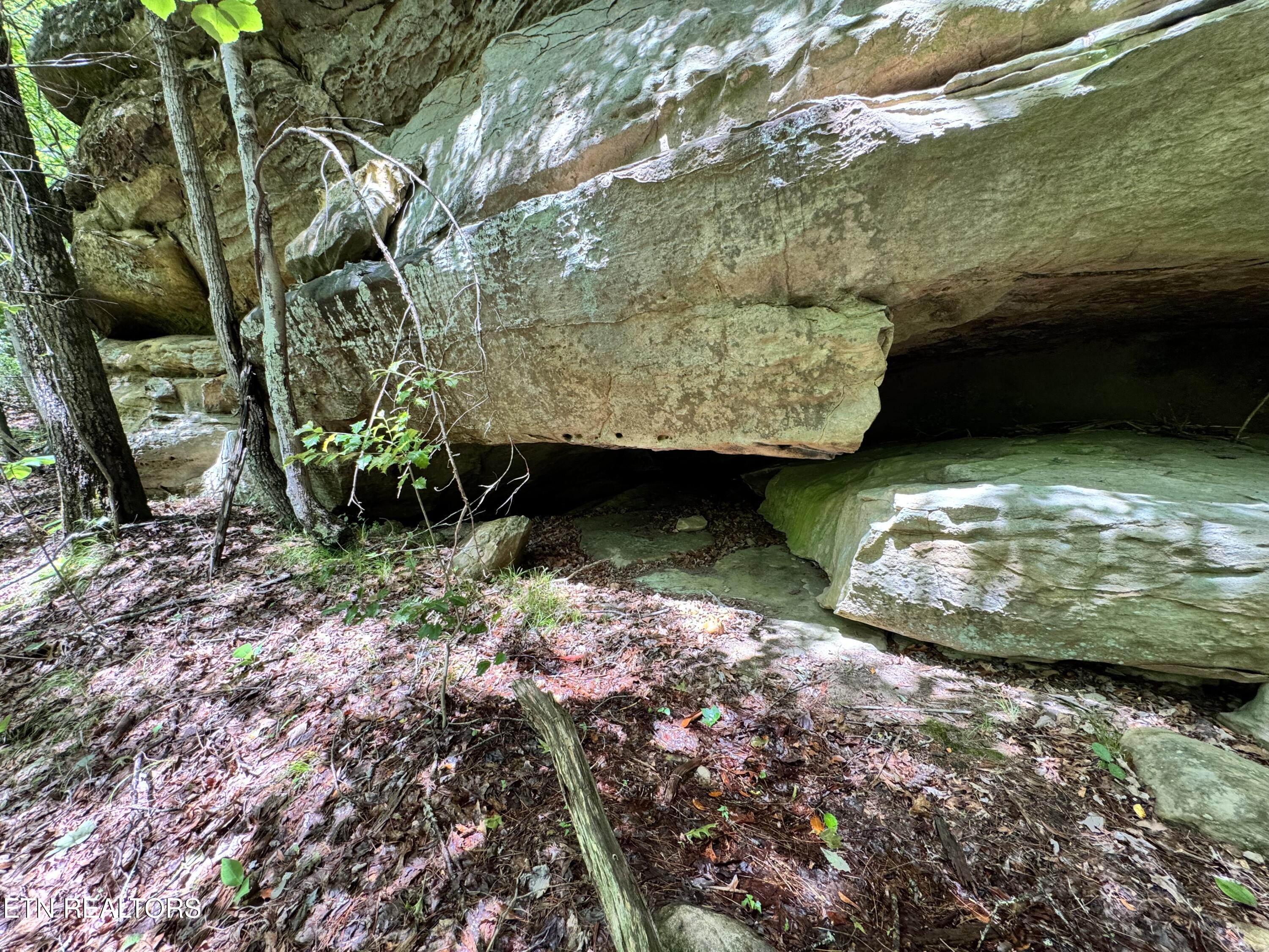 Bear Hollow Rd Property Photo 7
