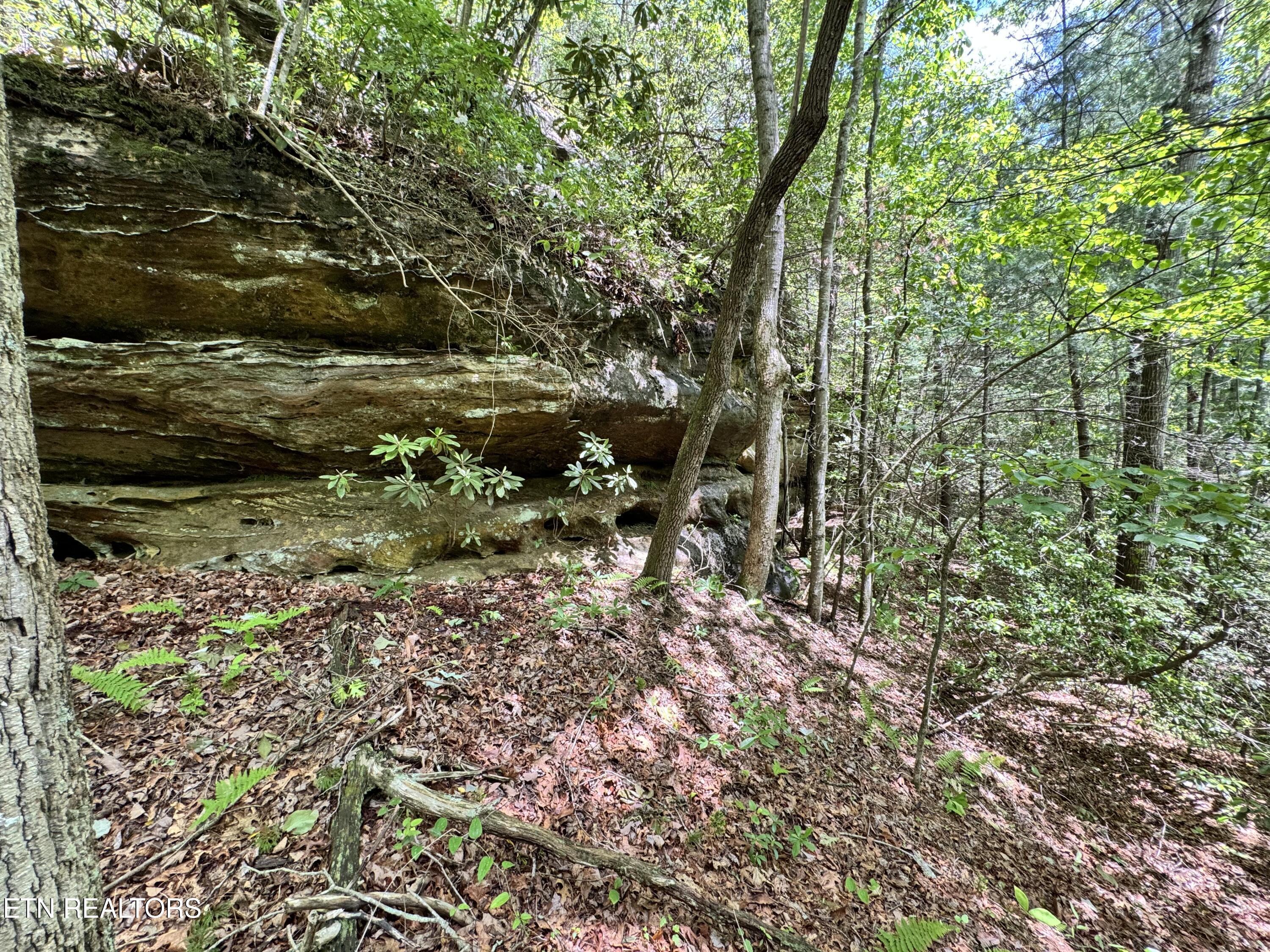Bear Hollow Rd Property Photo 8