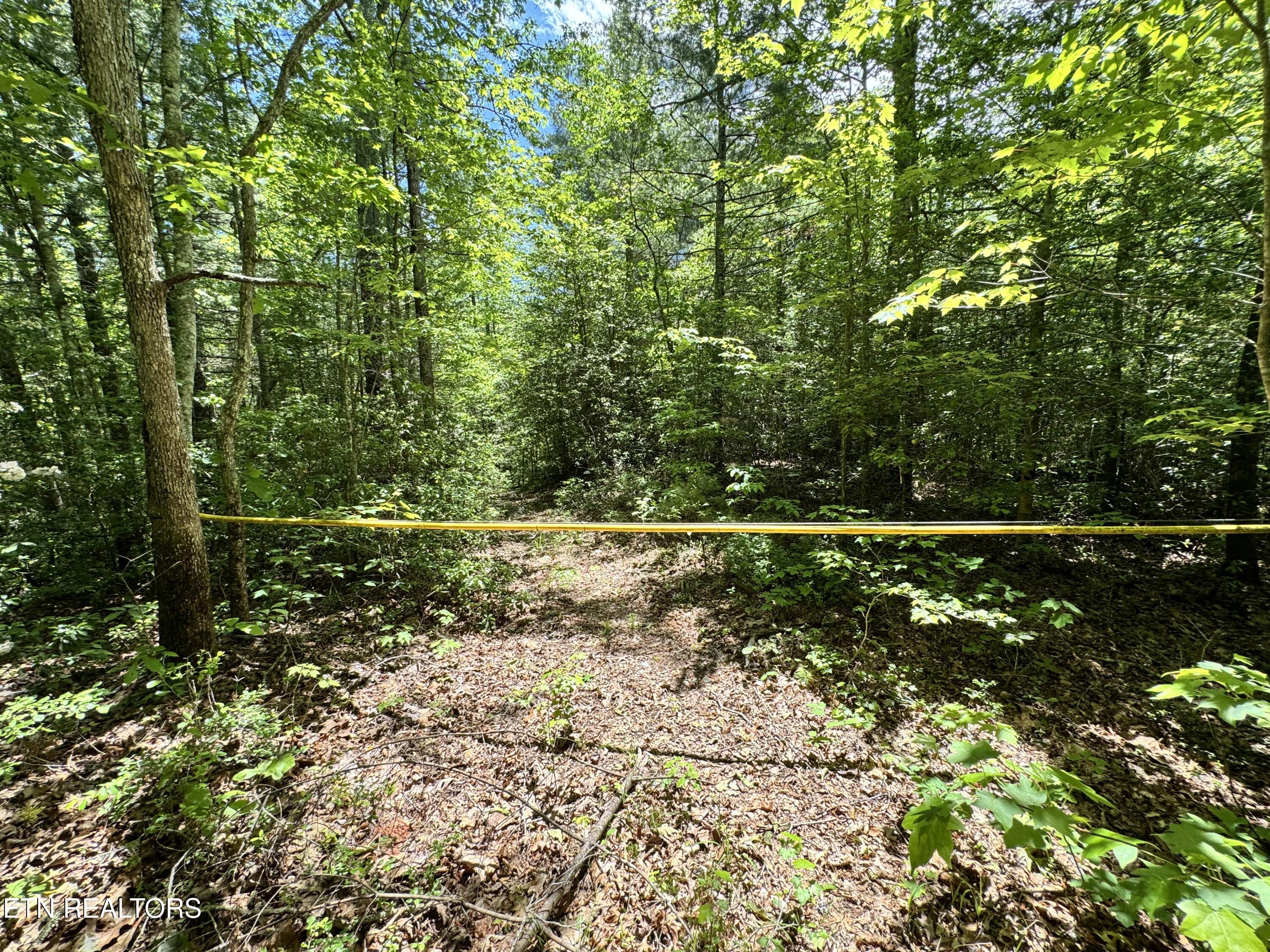 Bear Hollow Rd Property Photo 9