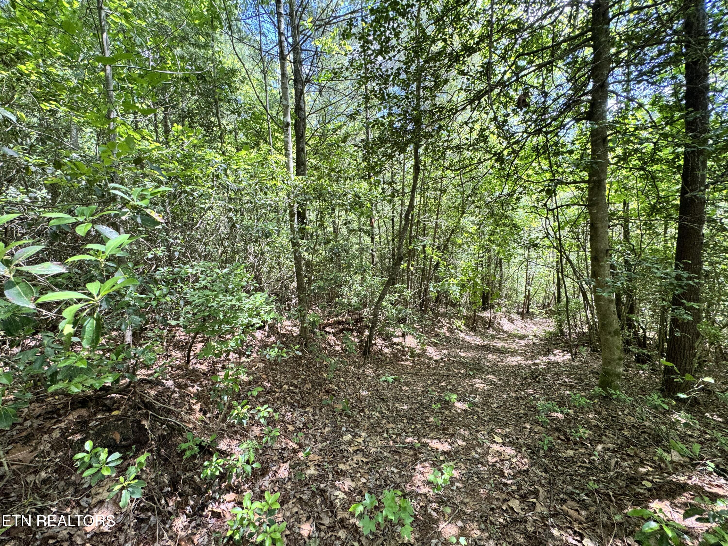 Bear Hollow Rd Property Photo 10
