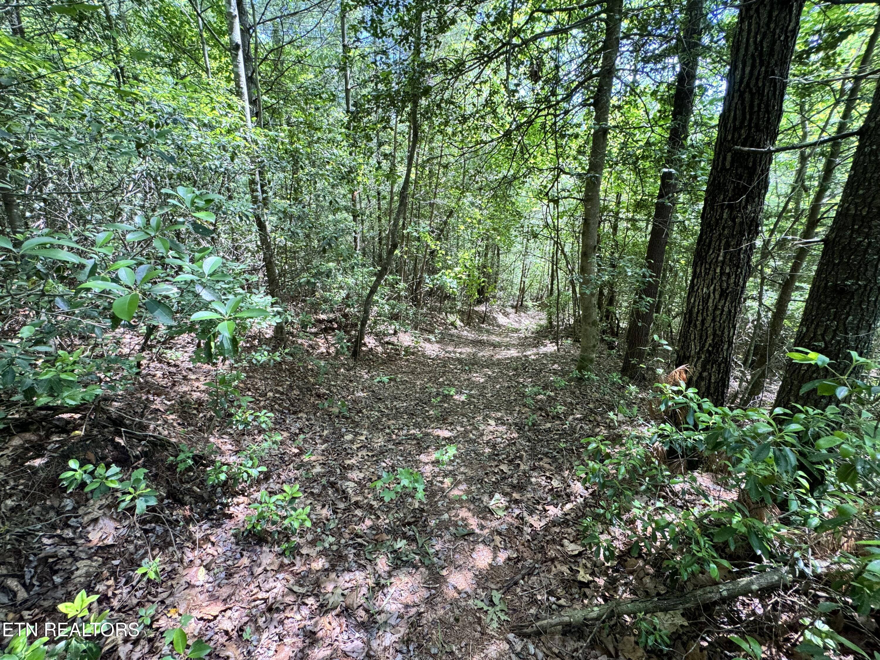 Bear Hollow Rd Property Photo 11
