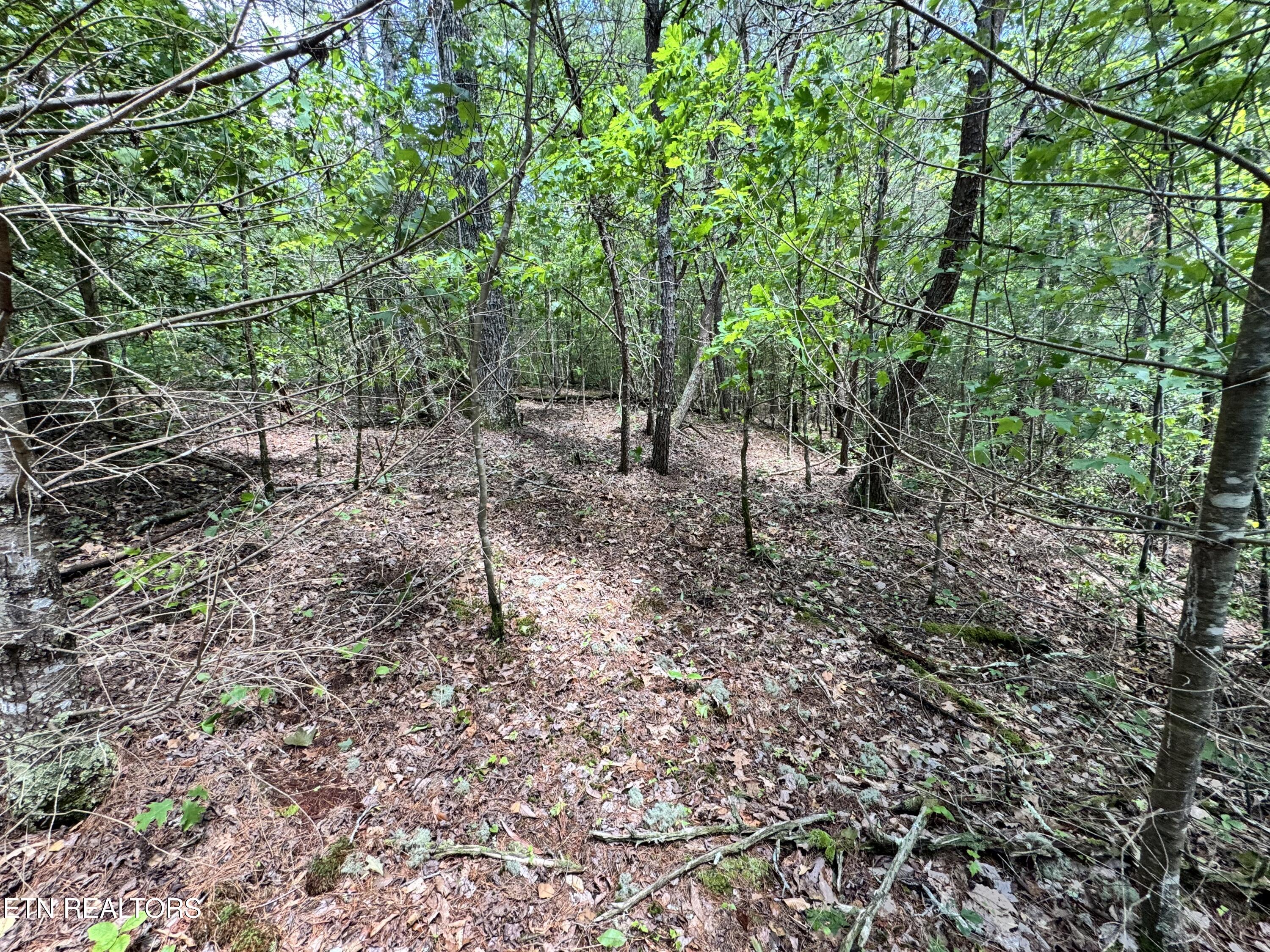 Bear Hollow Rd Property Photo 12