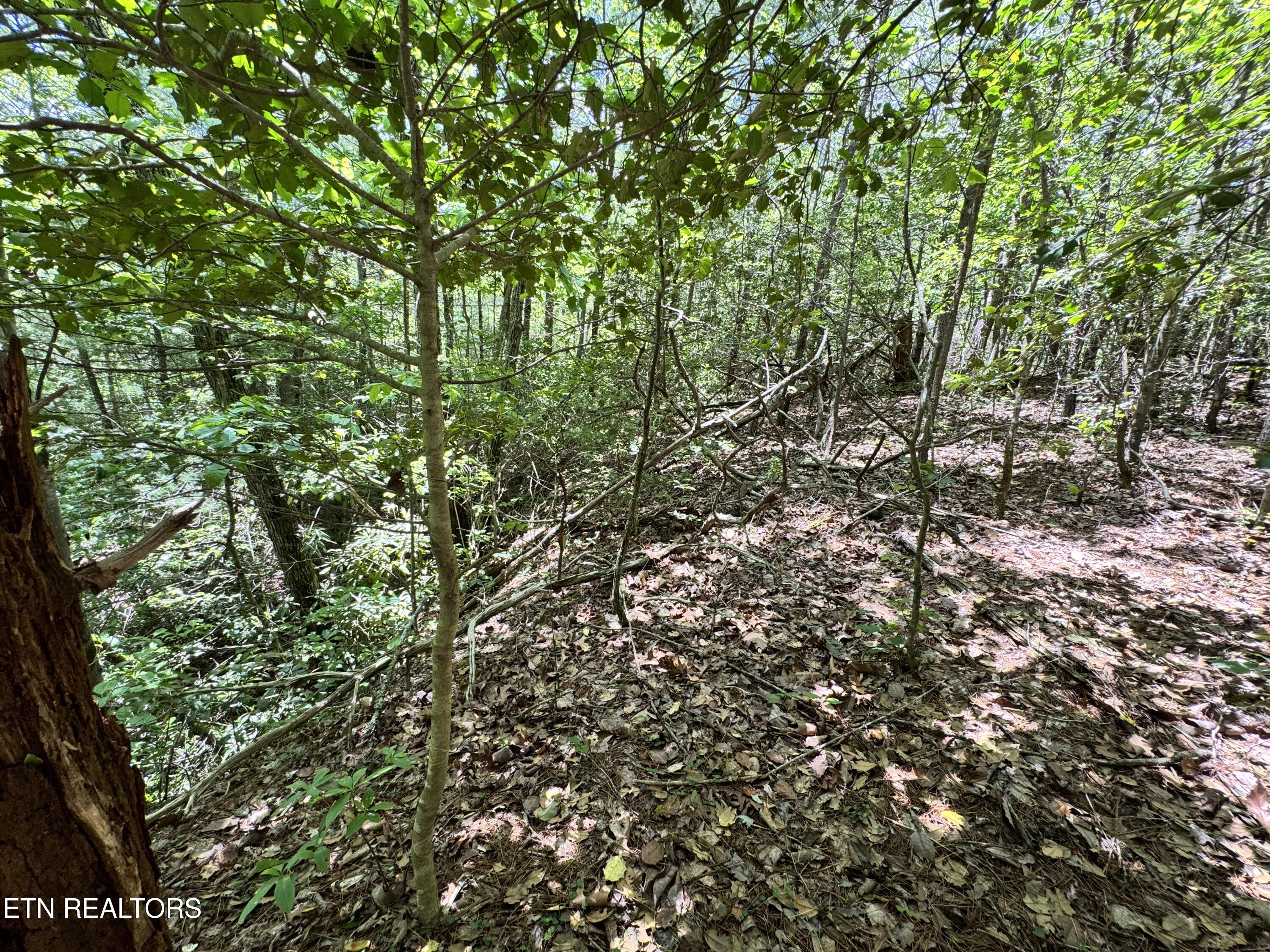 Bear Hollow Rd Property Photo 13