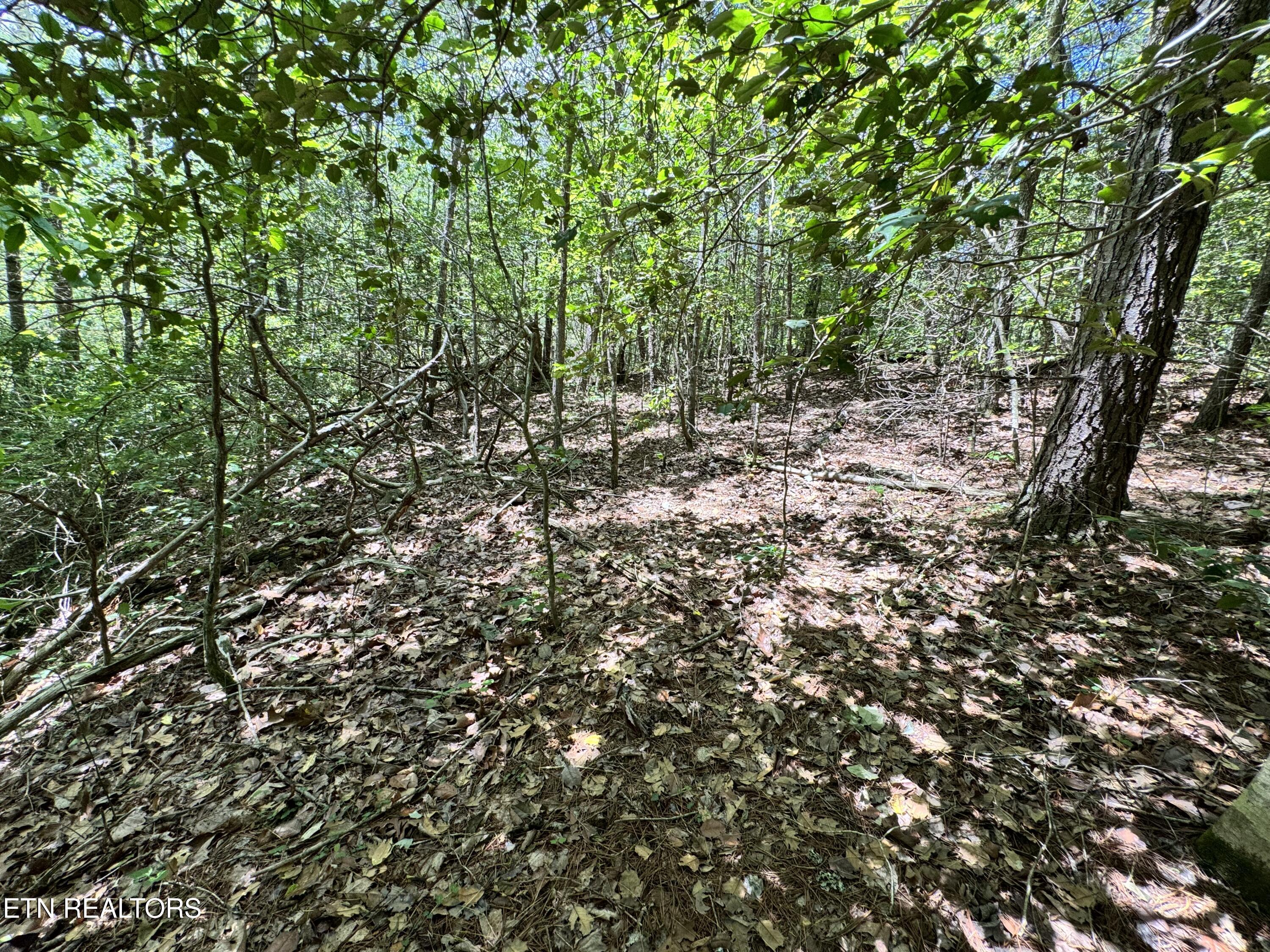 Bear Hollow Rd Property Photo 14