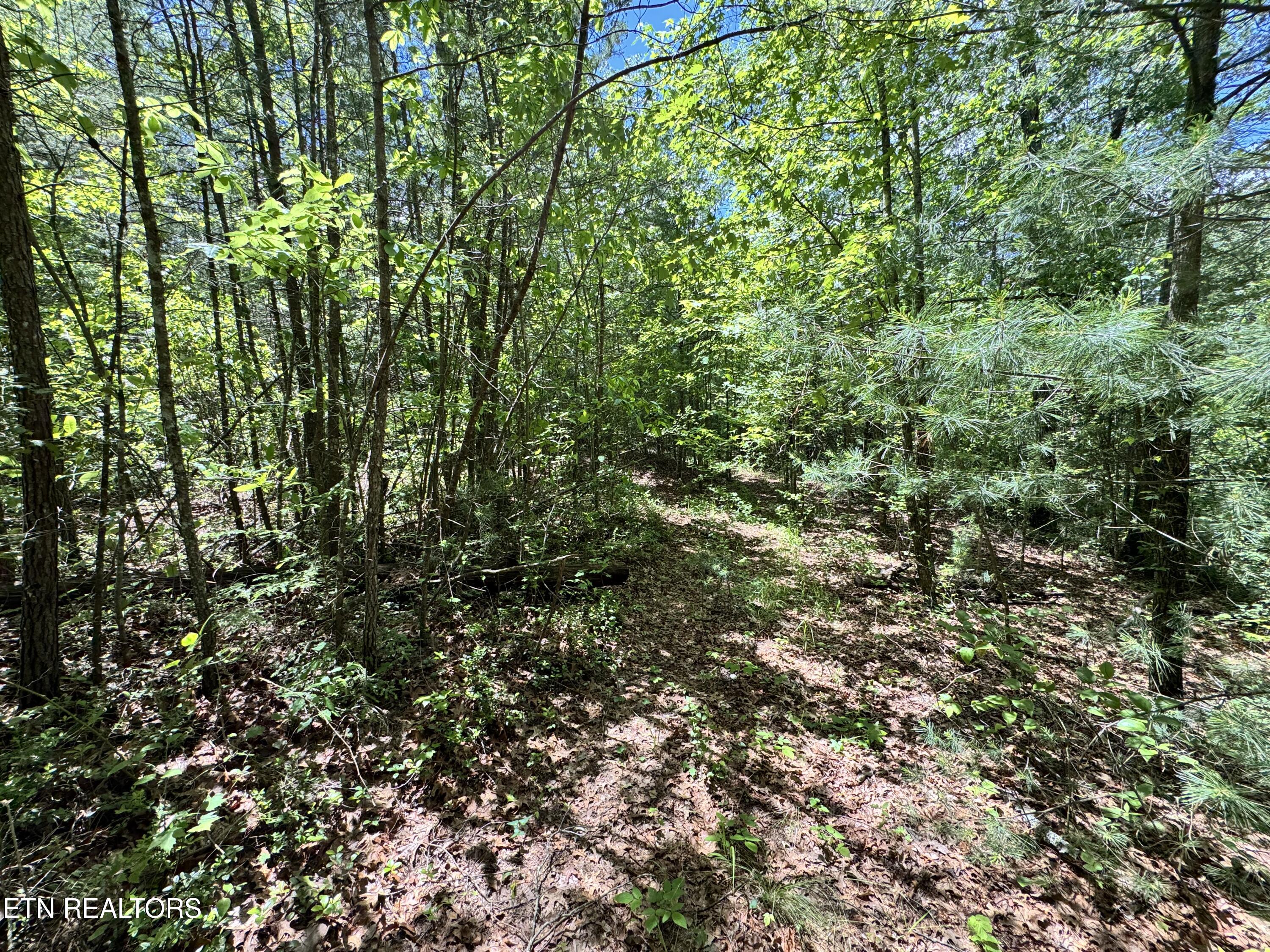 Bear Hollow Rd Property Photo 16