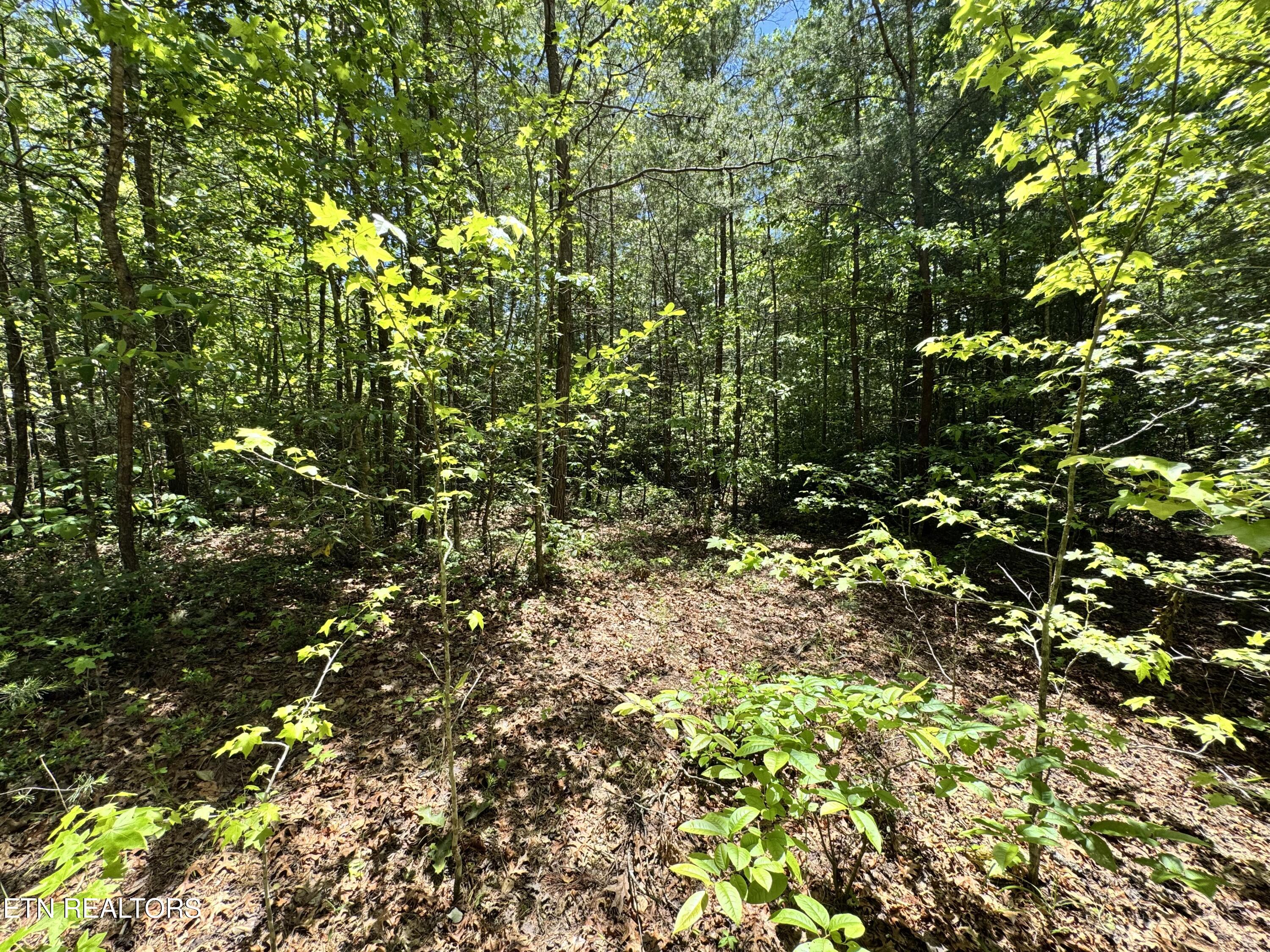 Bear Hollow Rd Property Photo 17