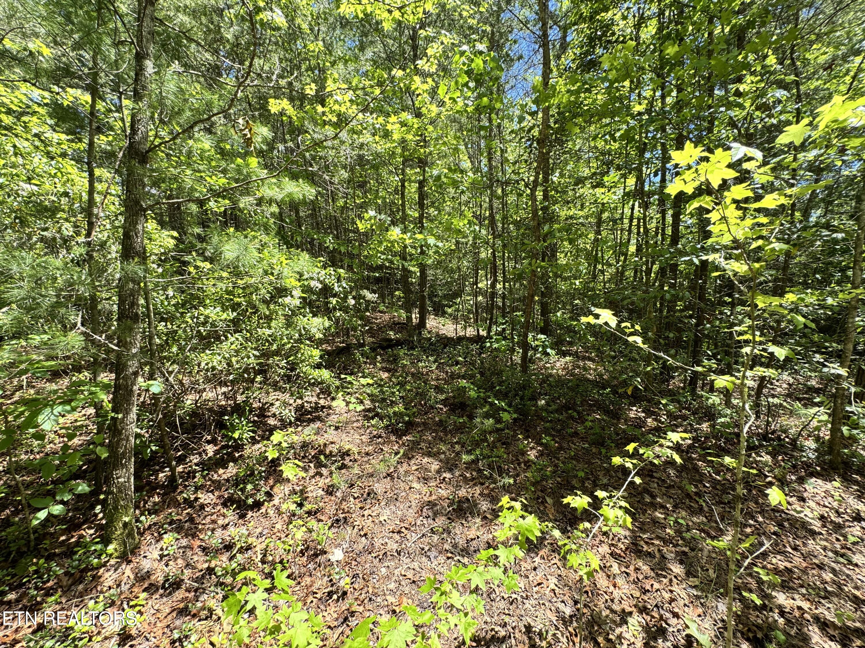 Bear Hollow Rd Property Photo 18