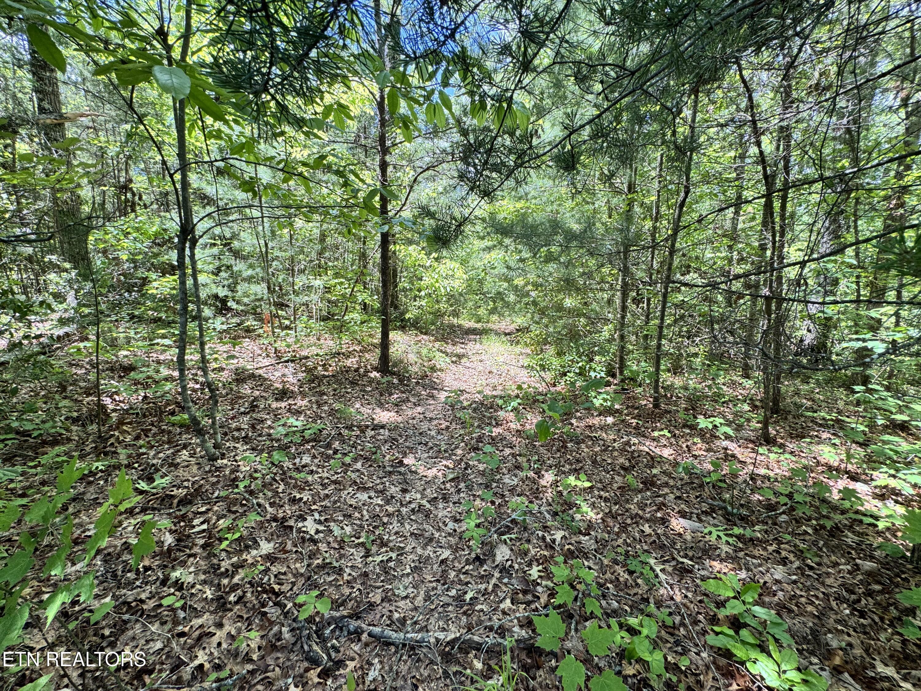Bear Hollow Rd Property Photo 21