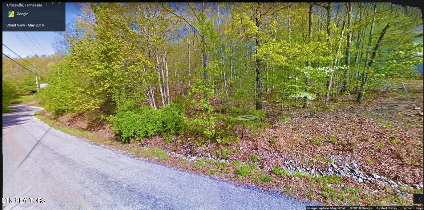 112 Overlook Cove Property Photo 3