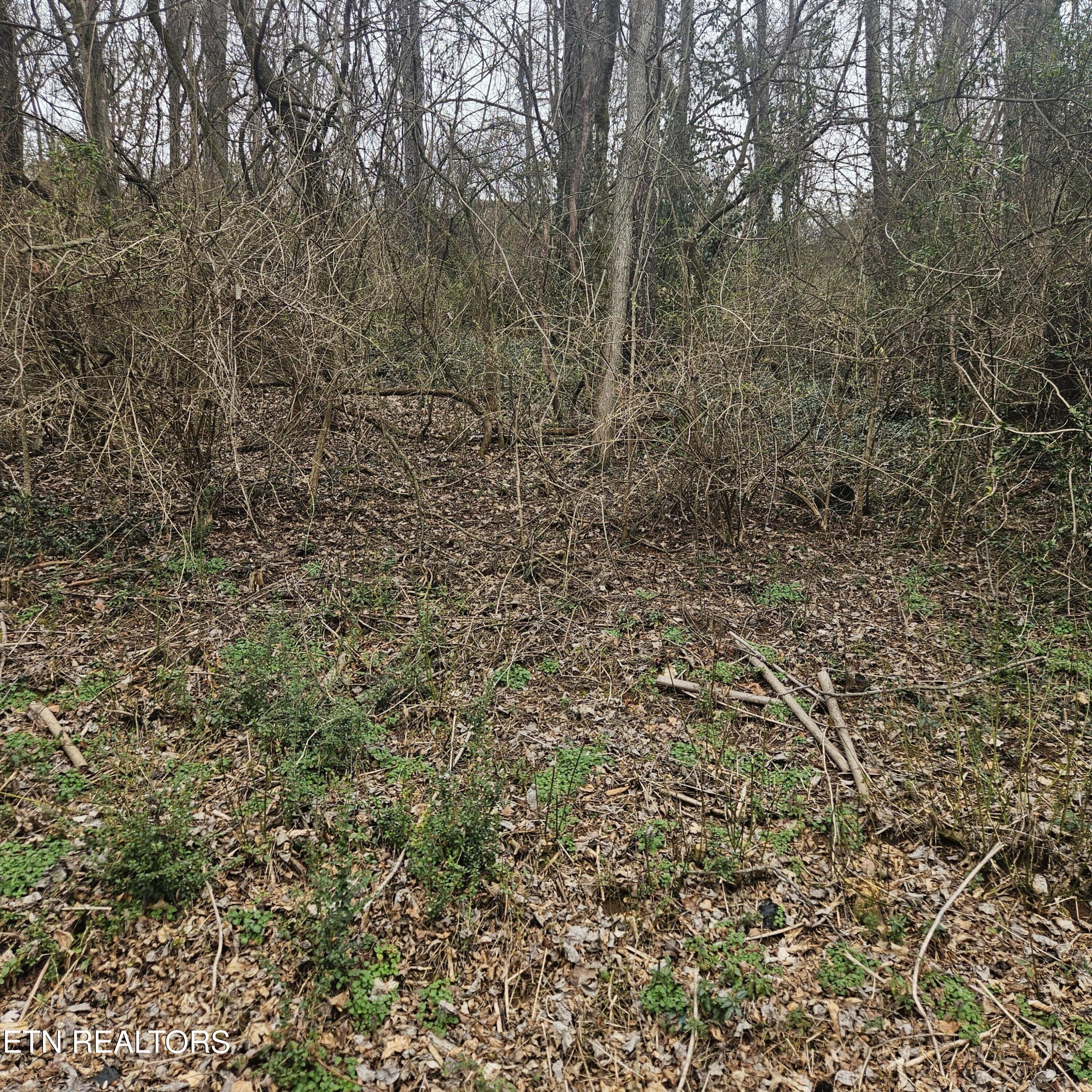 Cherokee Tr Property Photo 2