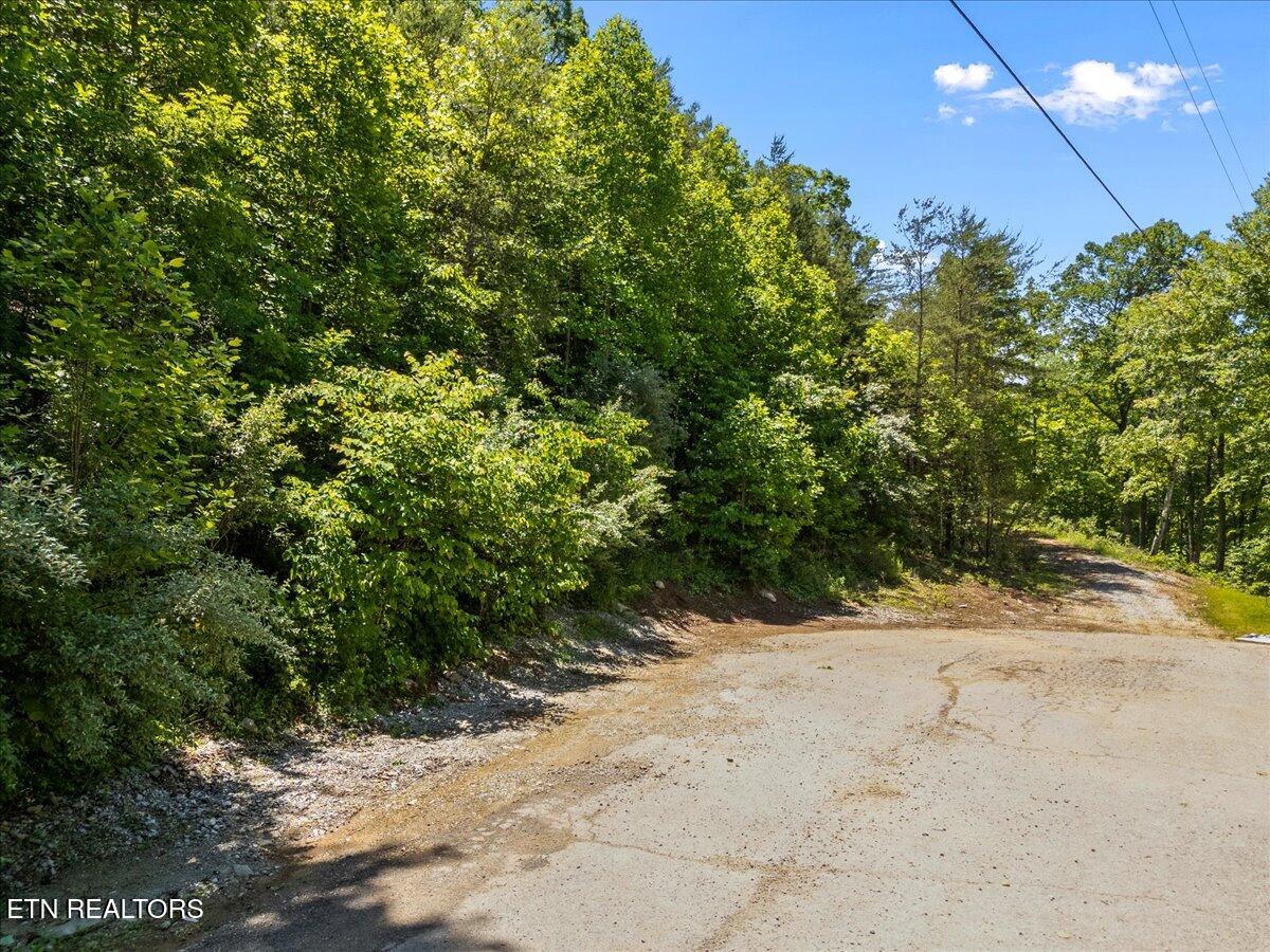 Lot 6 Shanghai Landing Lane Property Photo 4