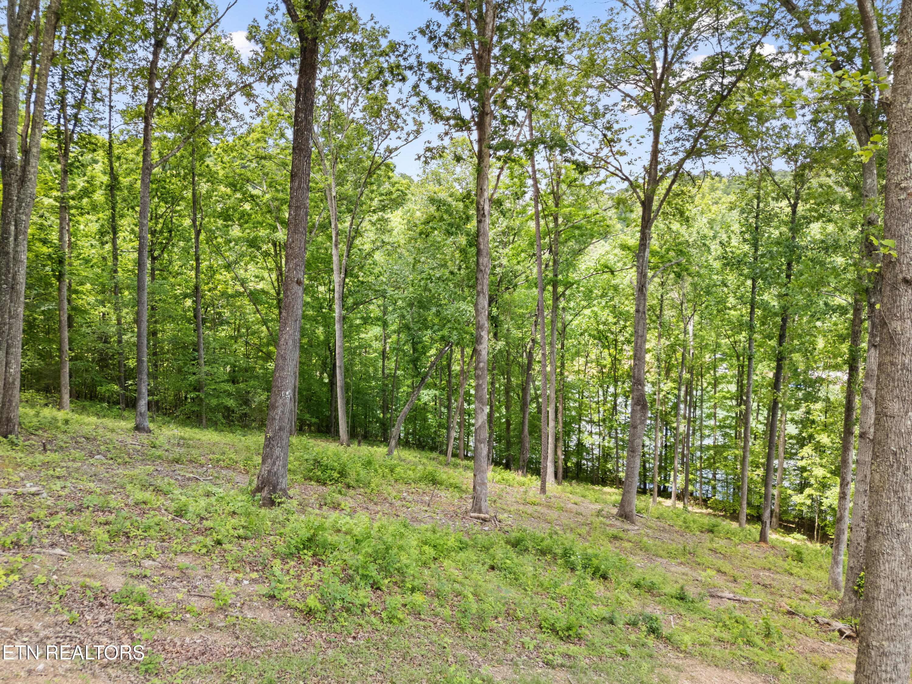 Lot 6 Shanghai Landing Lane Property Photo 13