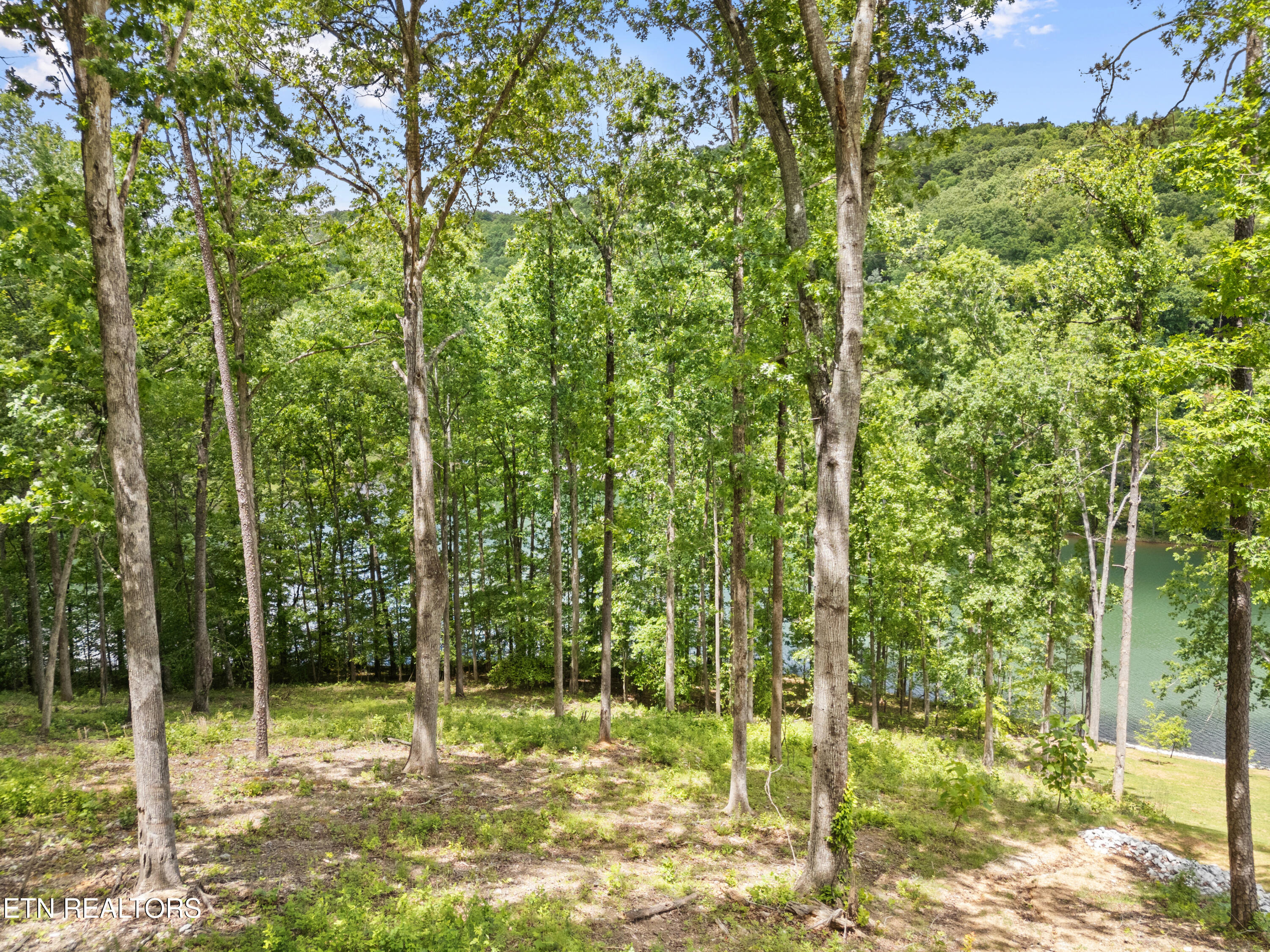 Lot 6 Shanghai Landing Lane Property Photo 15