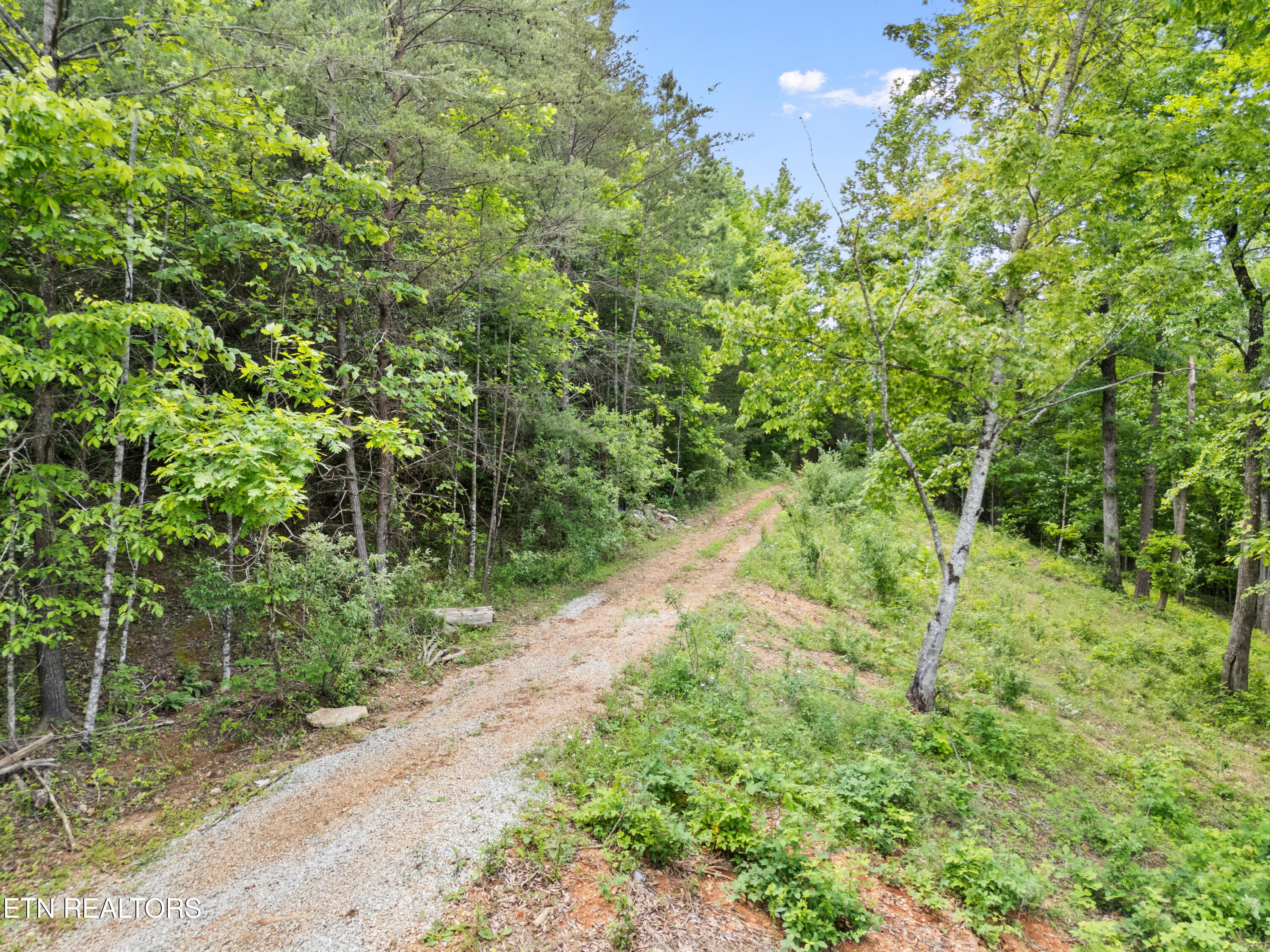 Lot 6 Shanghai Landing Lane Property Photo 16