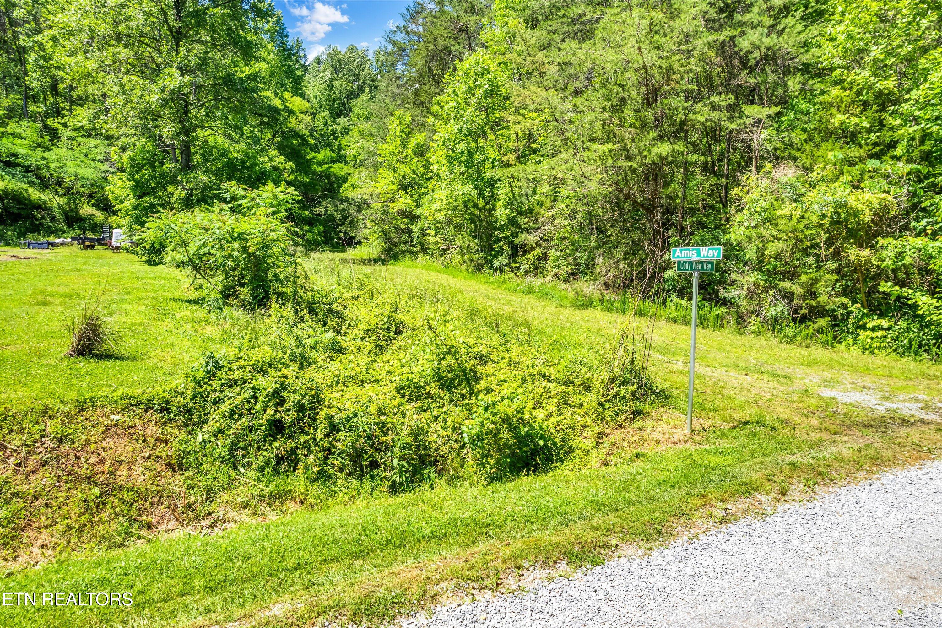 Lot 5 Amis Way Property Photo 3