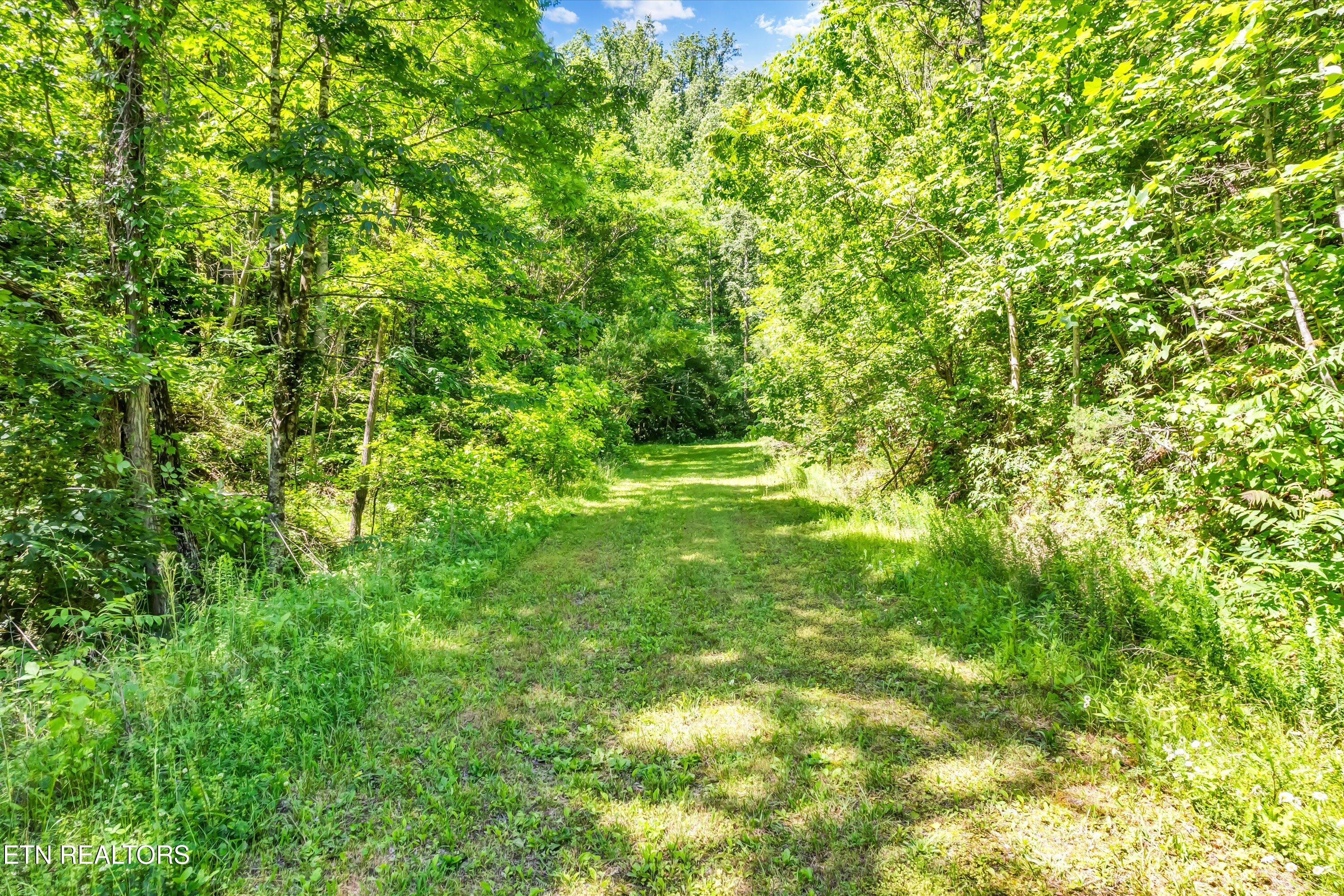 Lot 5 Amis Way Property Photo 6