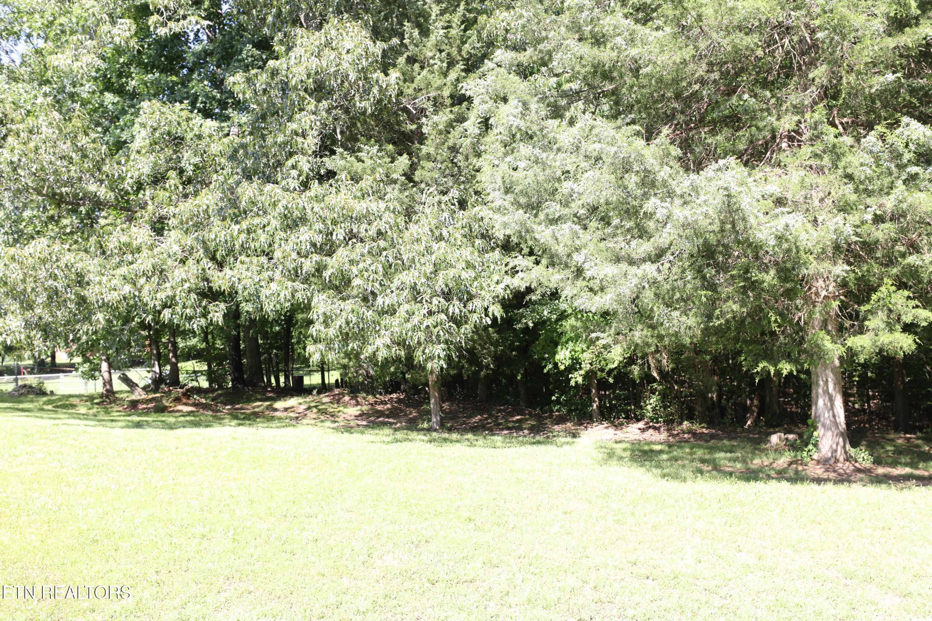 Mountain View Drive Property Photo 10