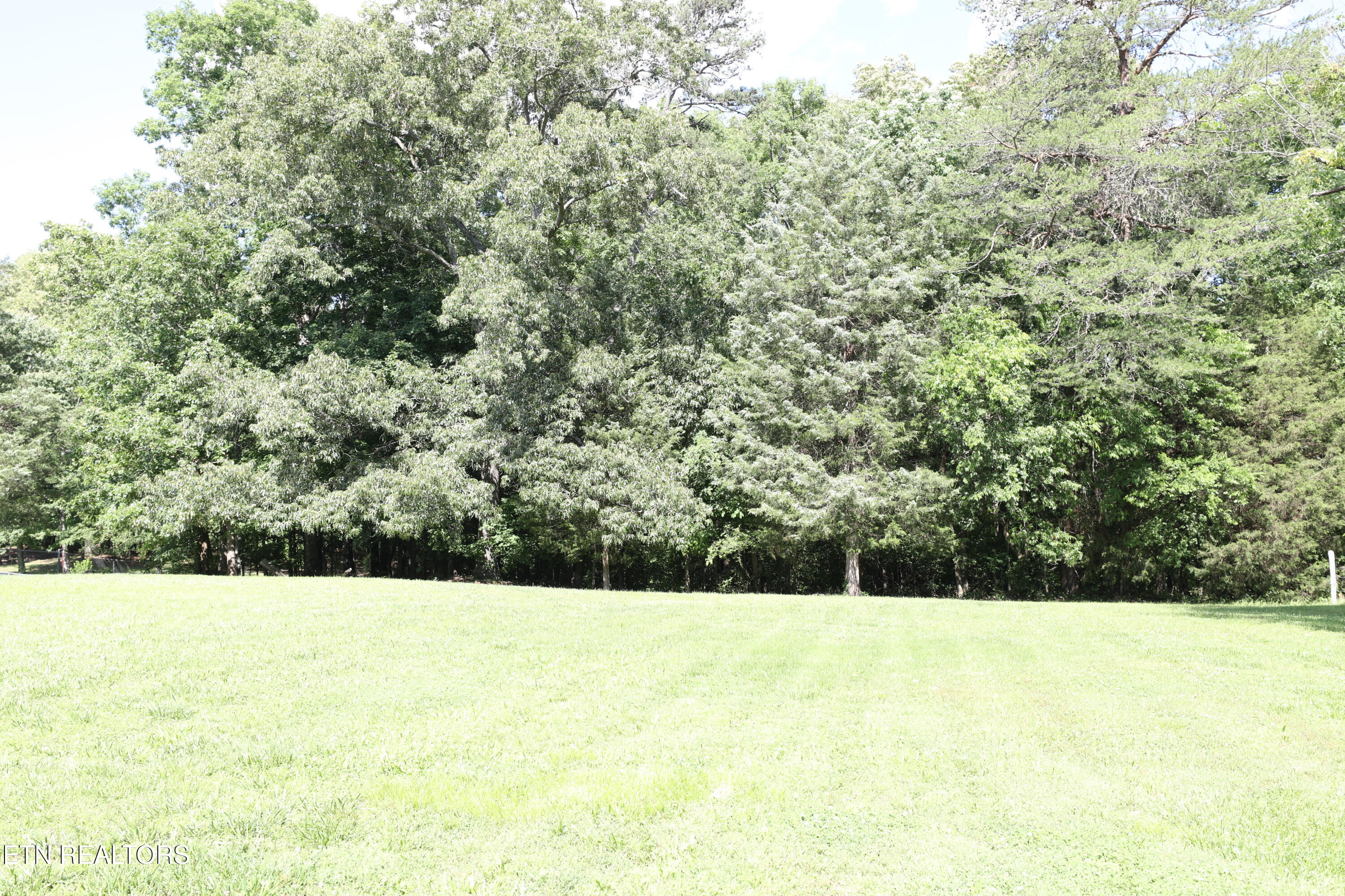 Mountain View Drive Property Photo 11